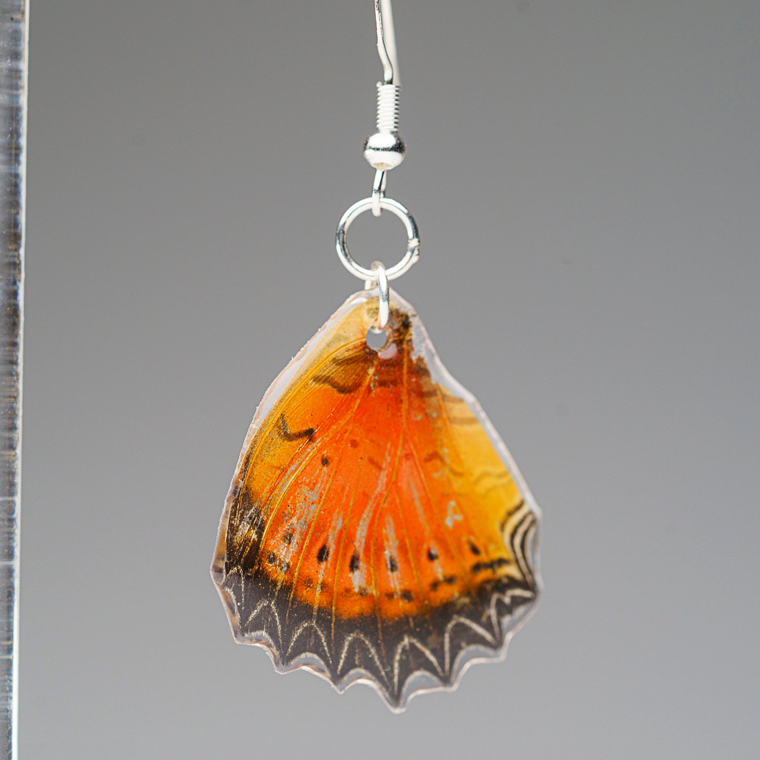 Genuine Butterfly (Red Lacewing) Wing Earrings