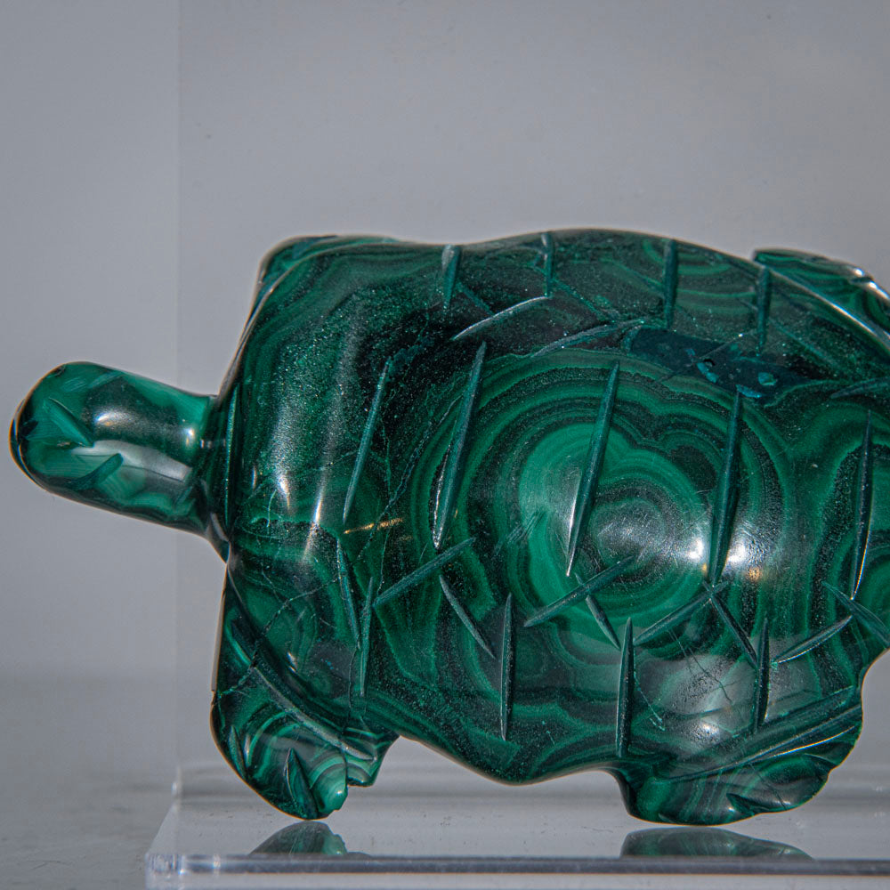 Genuine Polished Malachite Turtle Carving (163.8 grams)