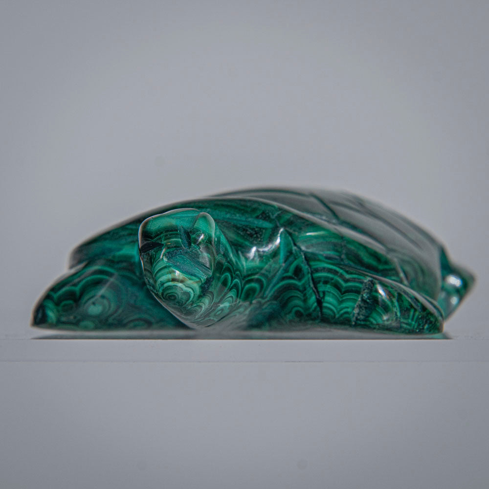 Genuine Polished Malachite Turtle Carving (163.8 grams)