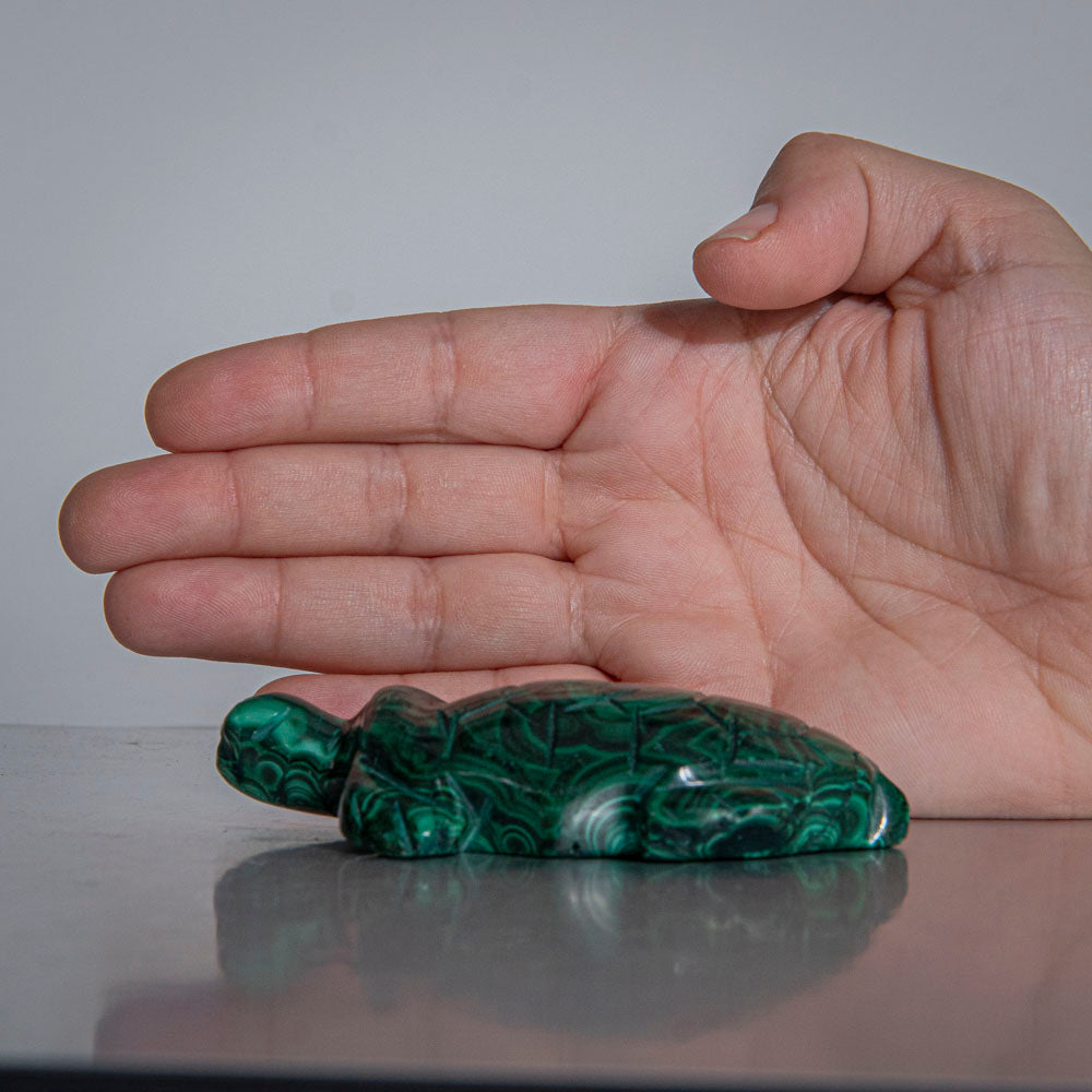 Genuine Polished Malachite Turtle Carving (163.8 grams)