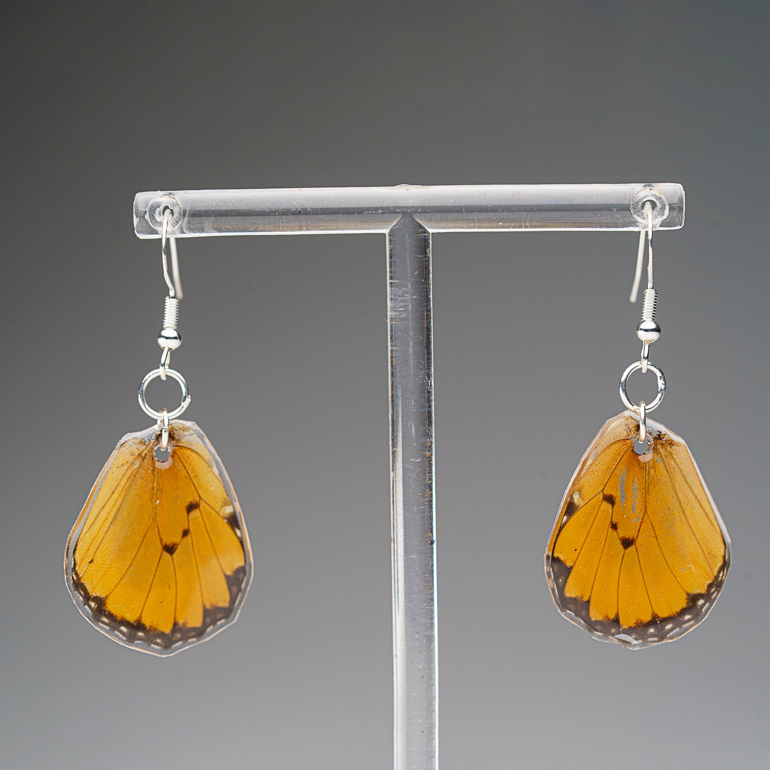 Genuine Butterfly (Chrysippus) Wing Earrings