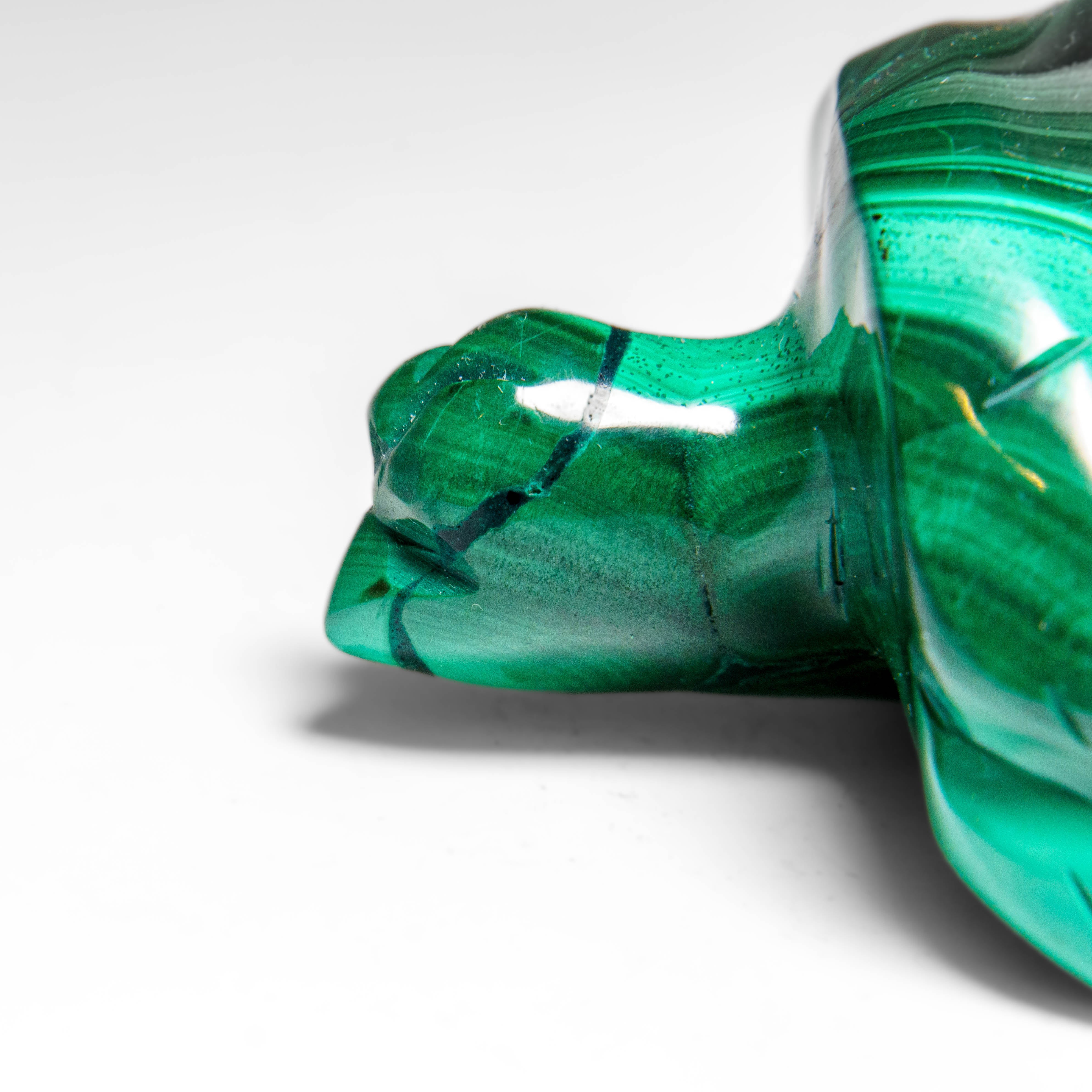 Genuine Polished Malachite Turtle Carving (326.6 grams)