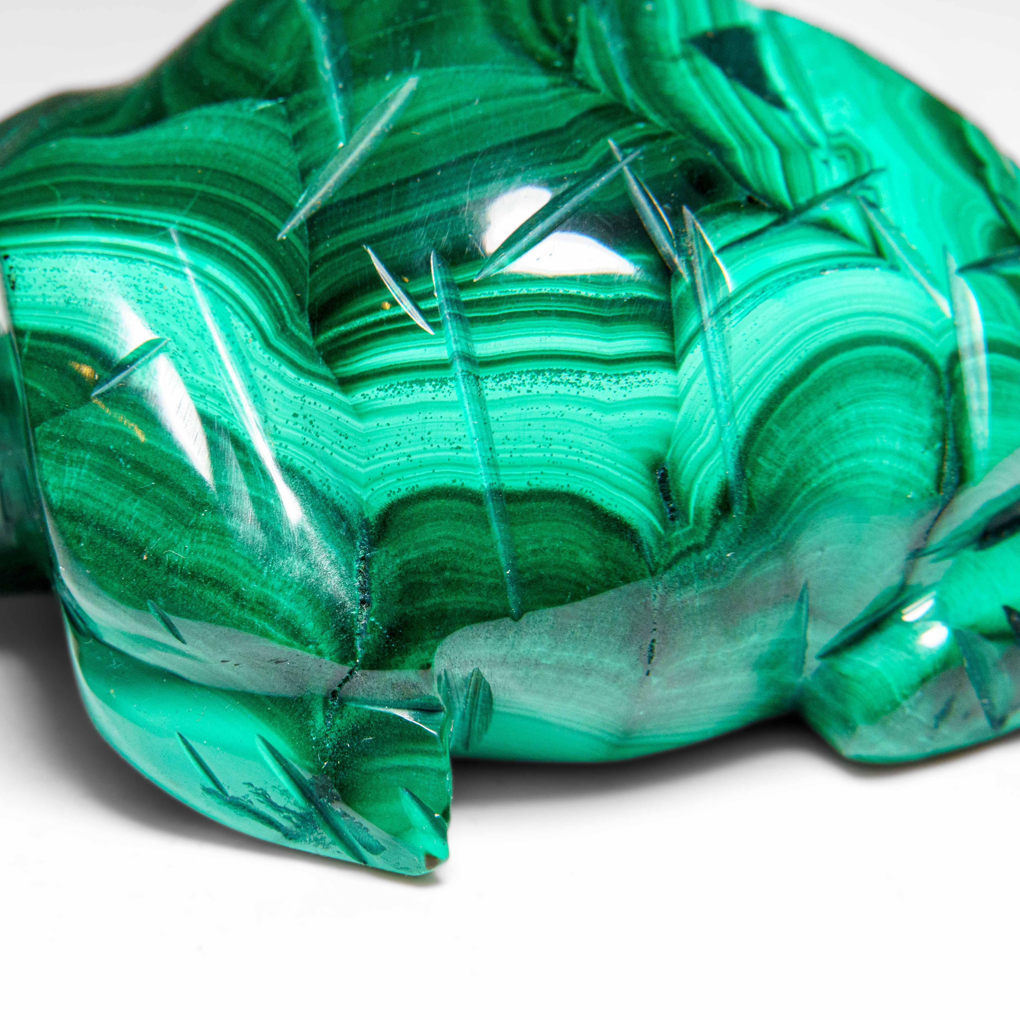 Genuine Polished Malachite Turtle Carving (326.6 grams)
