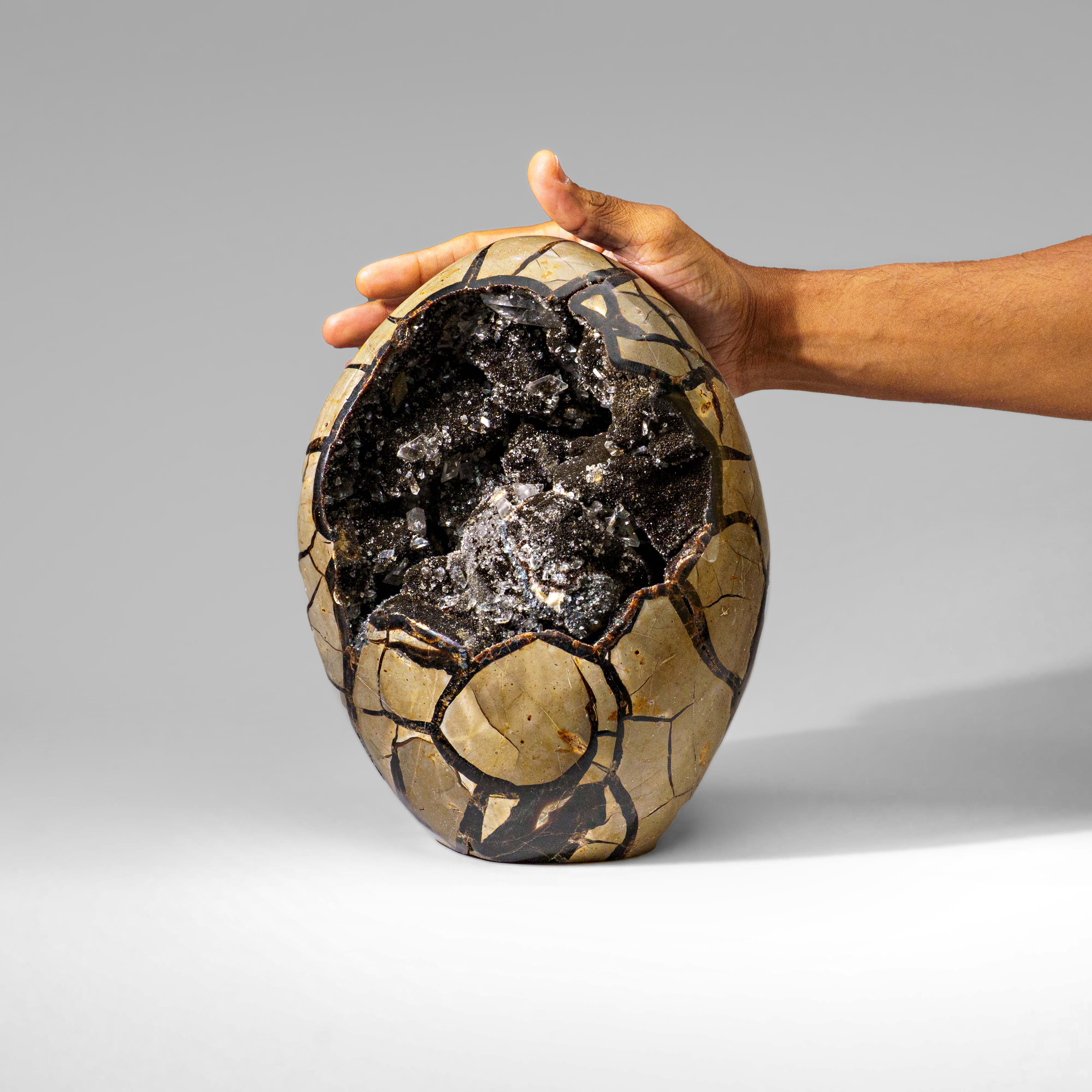 Polished Septarian Druzy Geode Egg from Madagascar (18 lbs)