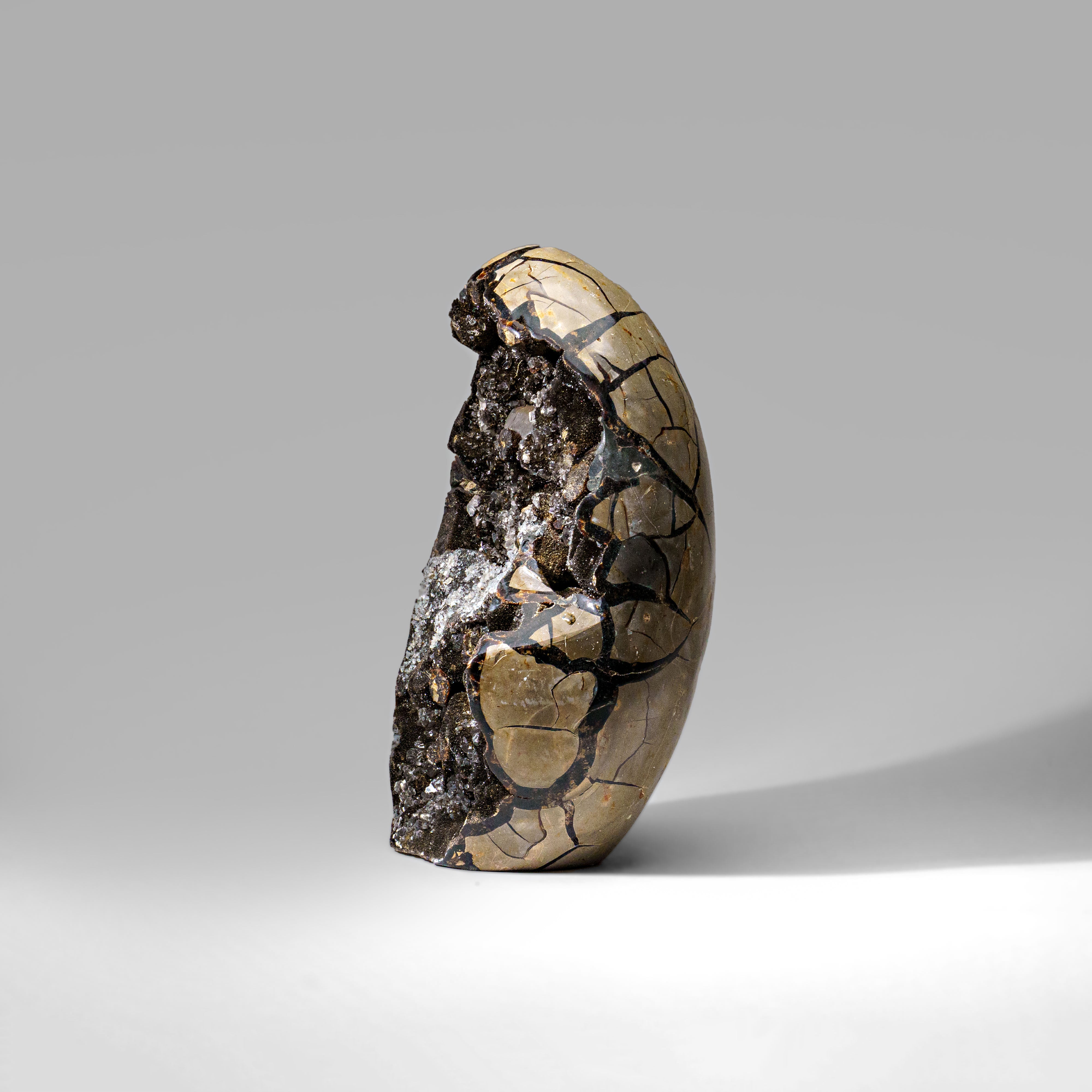 Septarian Druzy Geode Freeform from Madagascar (17.5 lbs)