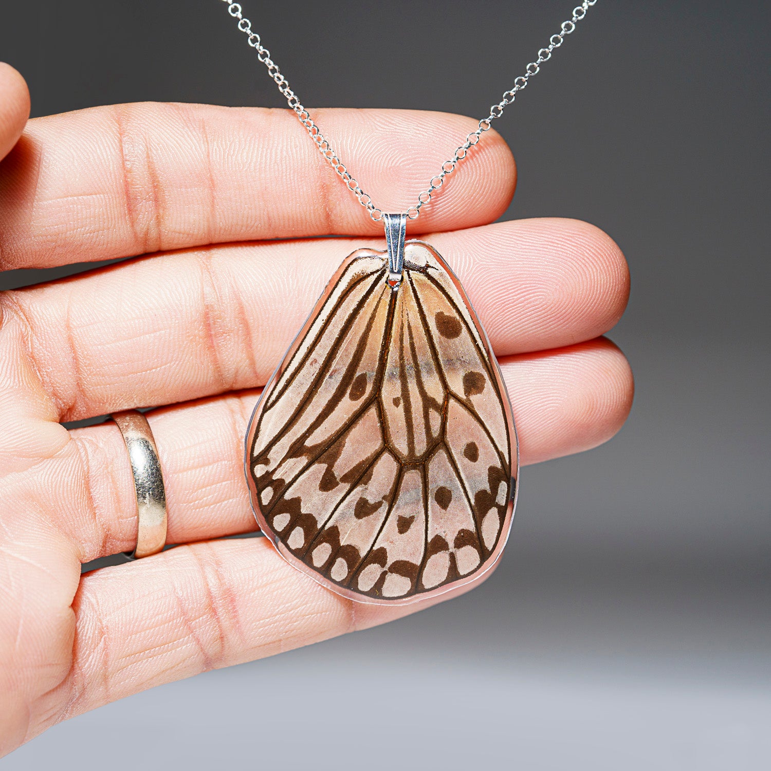 Genuine Butterfly (Rice Paper Prince) Wing Pendant with 18" Sterling Silver Necklace (BWP1)