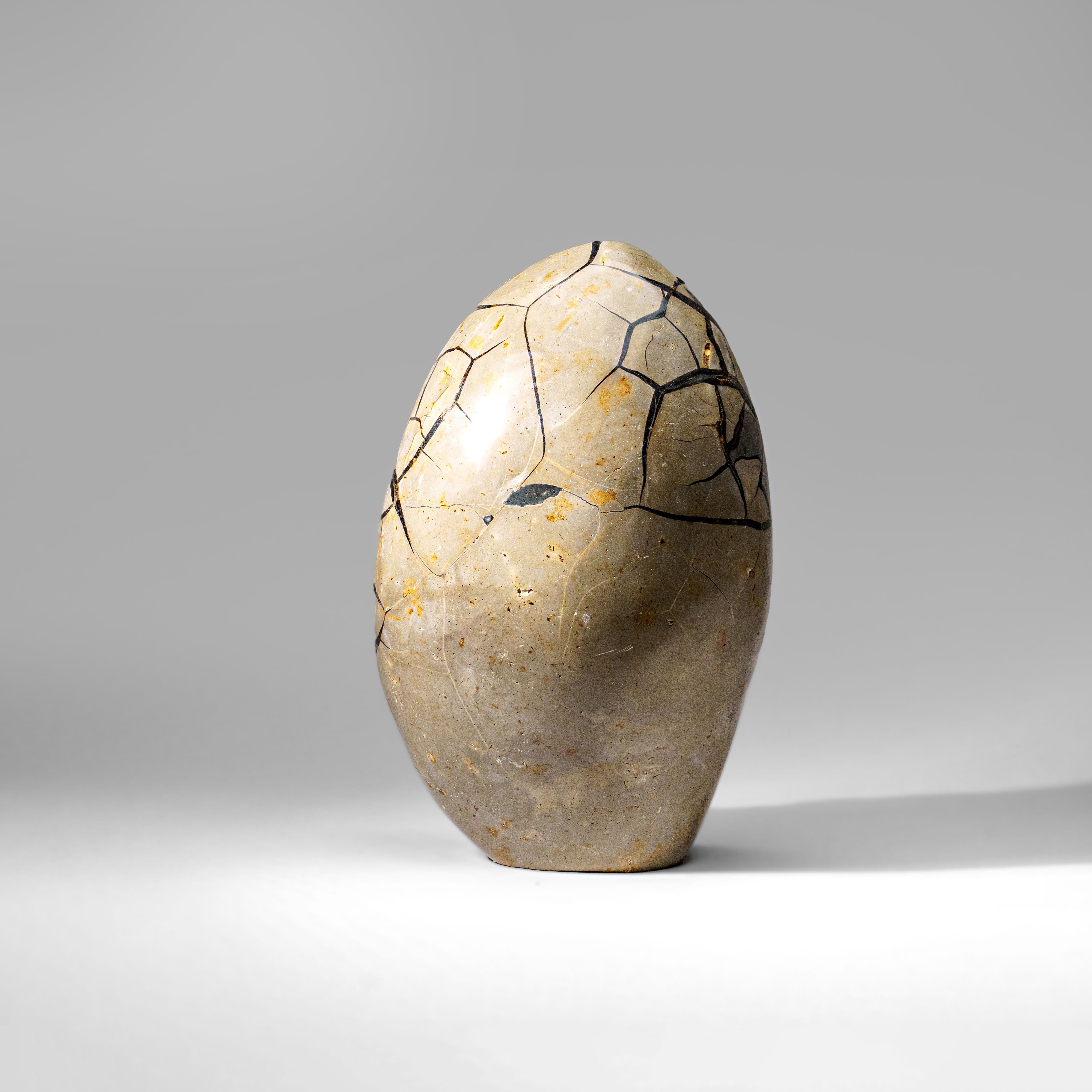 Septarian Druzy Geode Freeform from Madagascar (17.5 lbs)