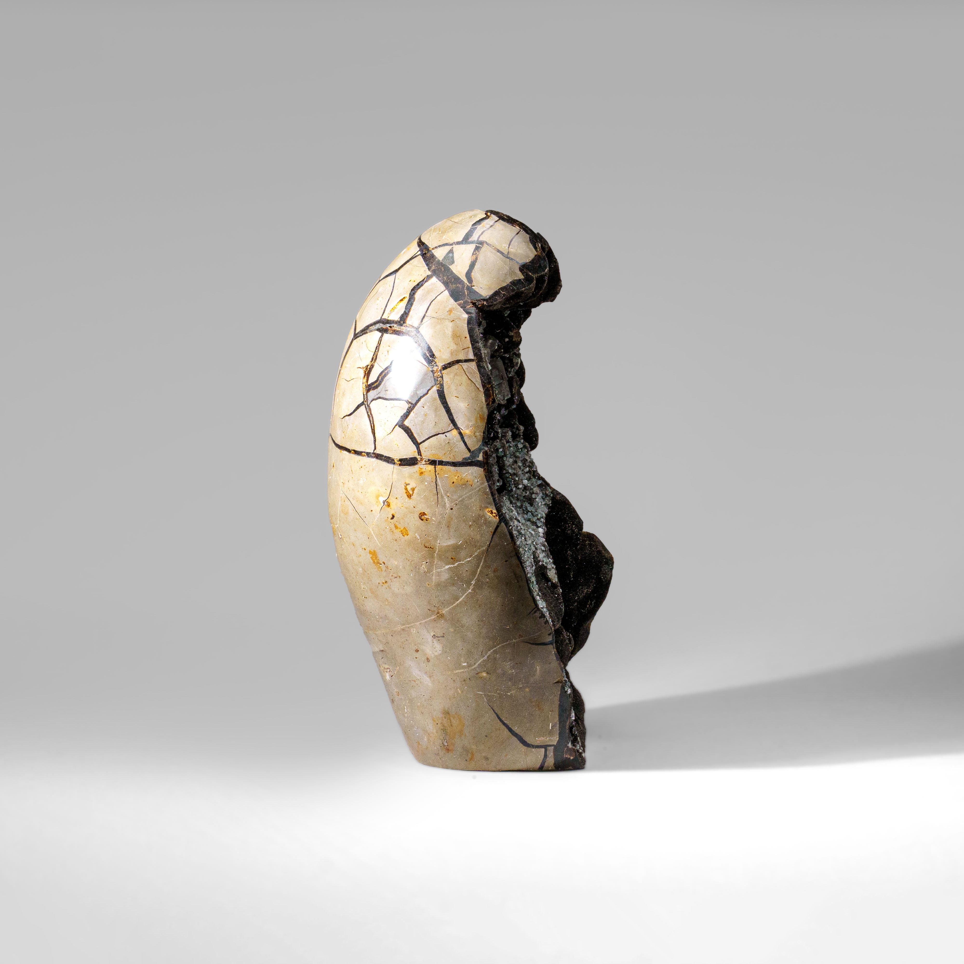 Septarian Druzy Geode Freeform from Madagascar (17.5 lbs)