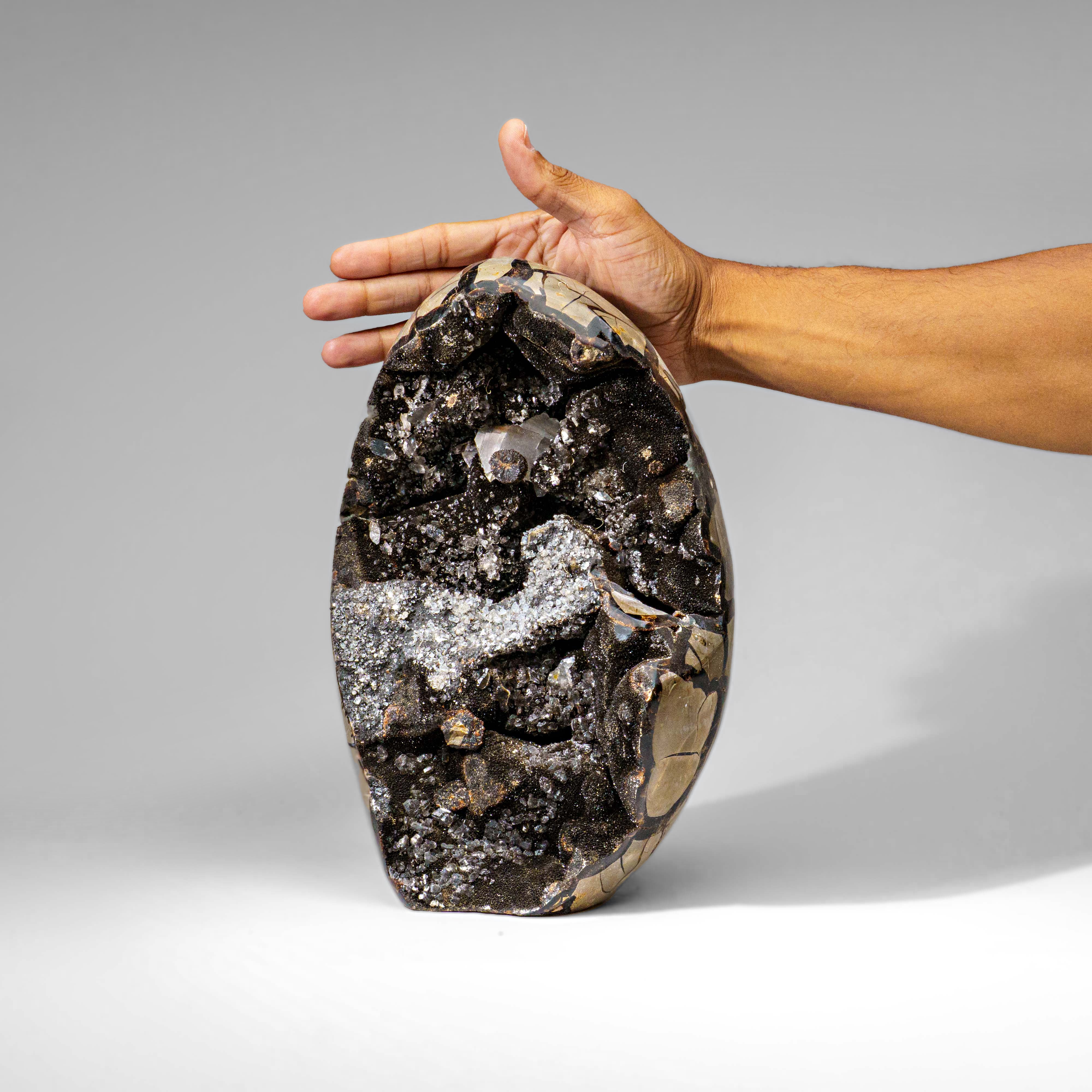 Septarian Druzy Geode Freeform from Madagascar (17.5 lbs)