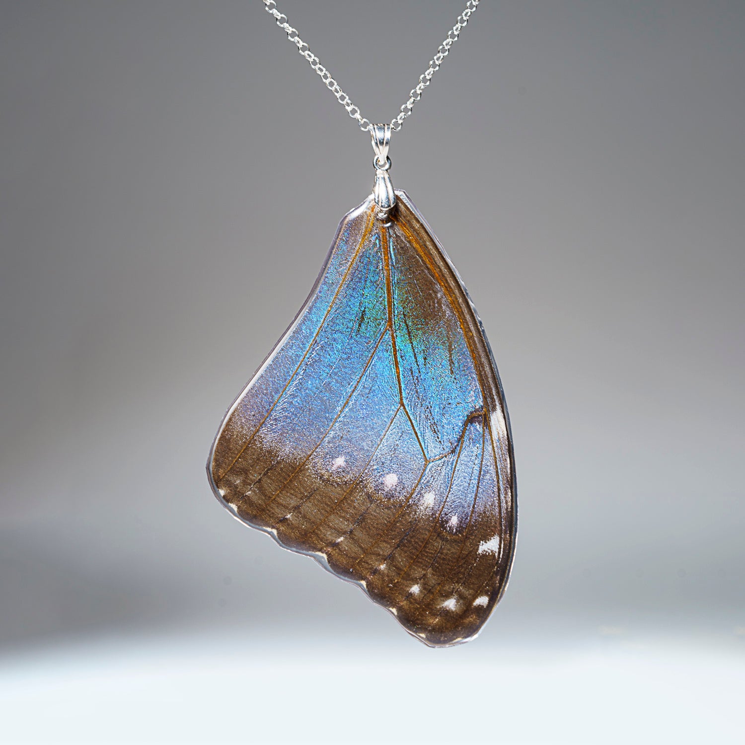 Genuine Butterfly (Blue Buck-eye) Wing Pendant with 18" Sterling Silver Necklace (BWP2)