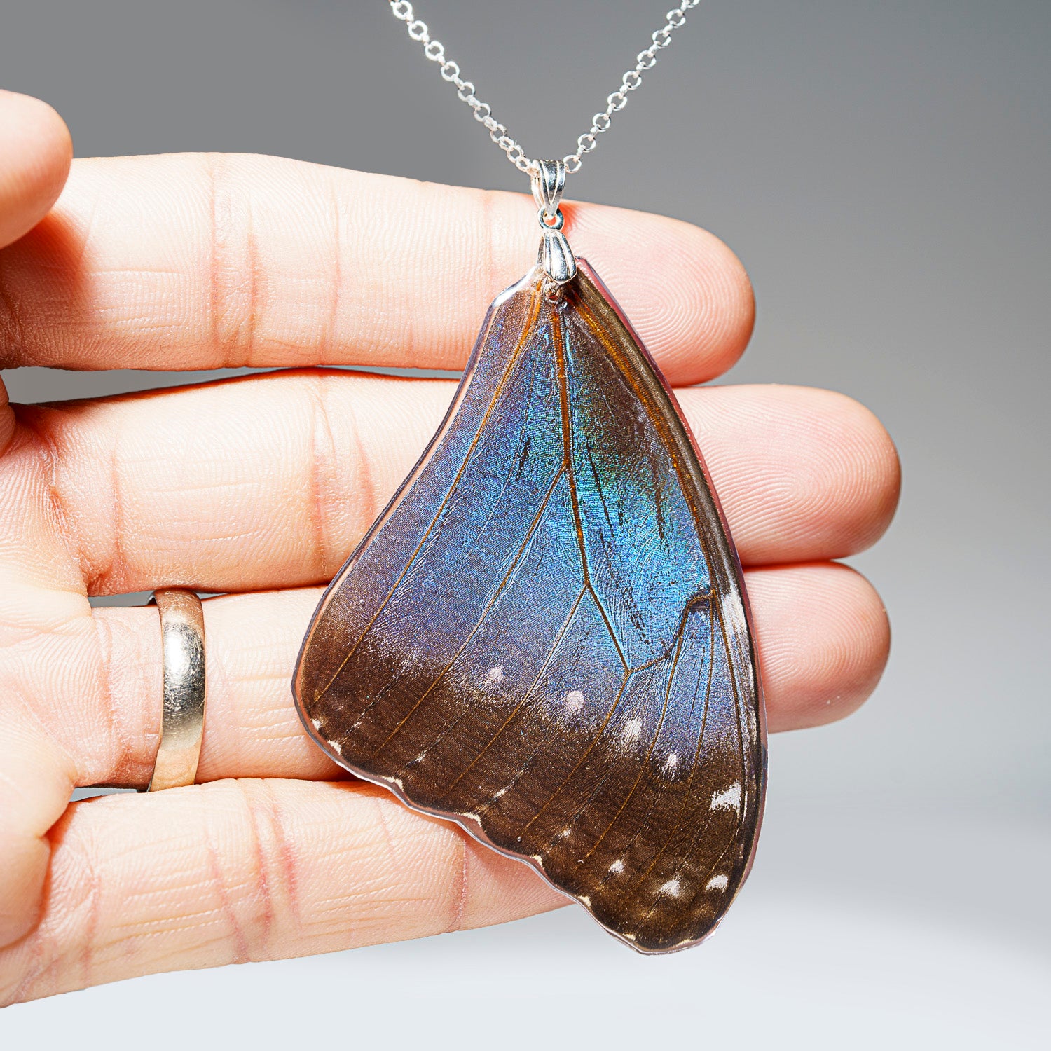 Genuine Butterfly (Blue Buck-eye) Wing Pendant with 18" Sterling Silver Necklace (BWP2)