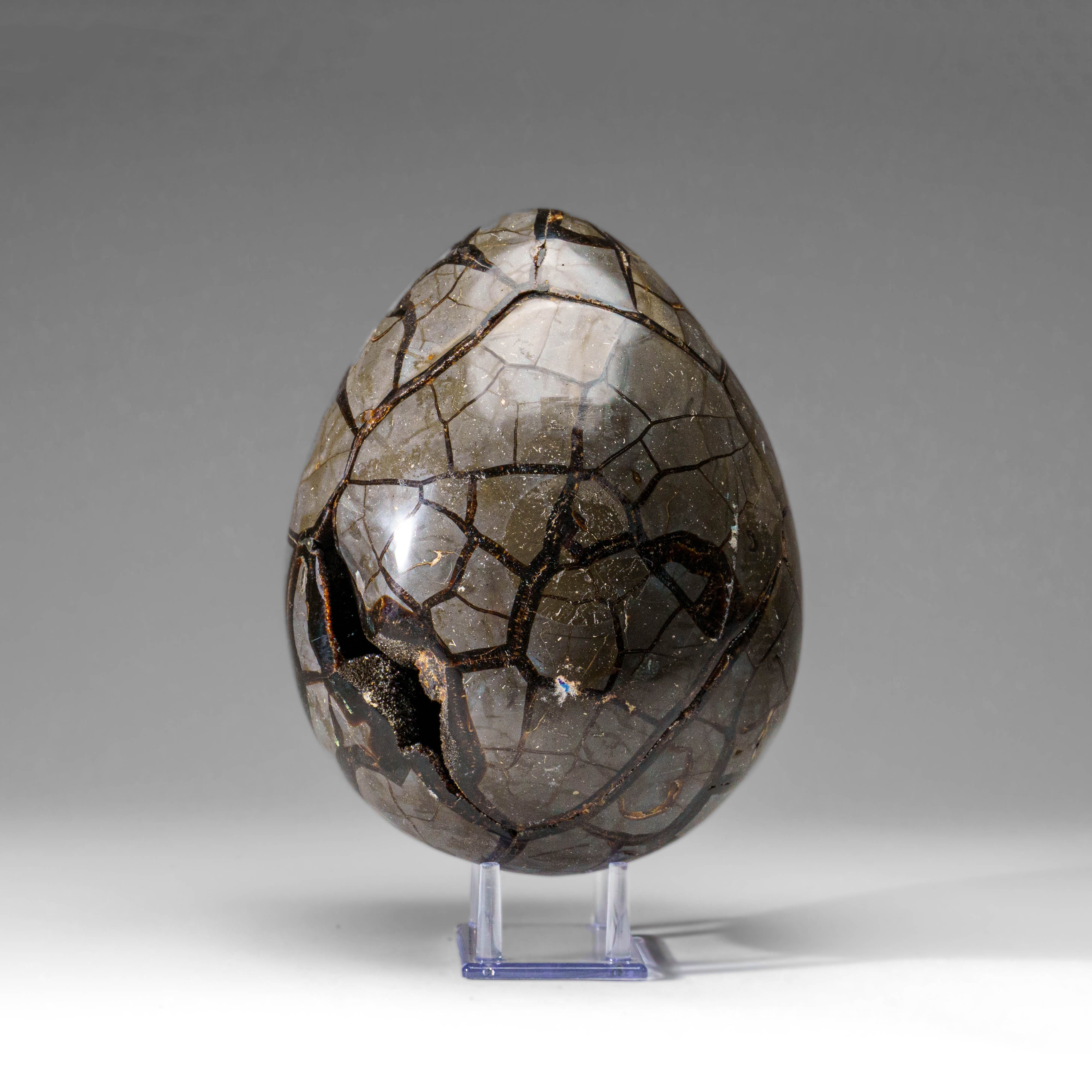 Polished Septarian Druzy Geode Egg from Madagascar (18.5 lbs)