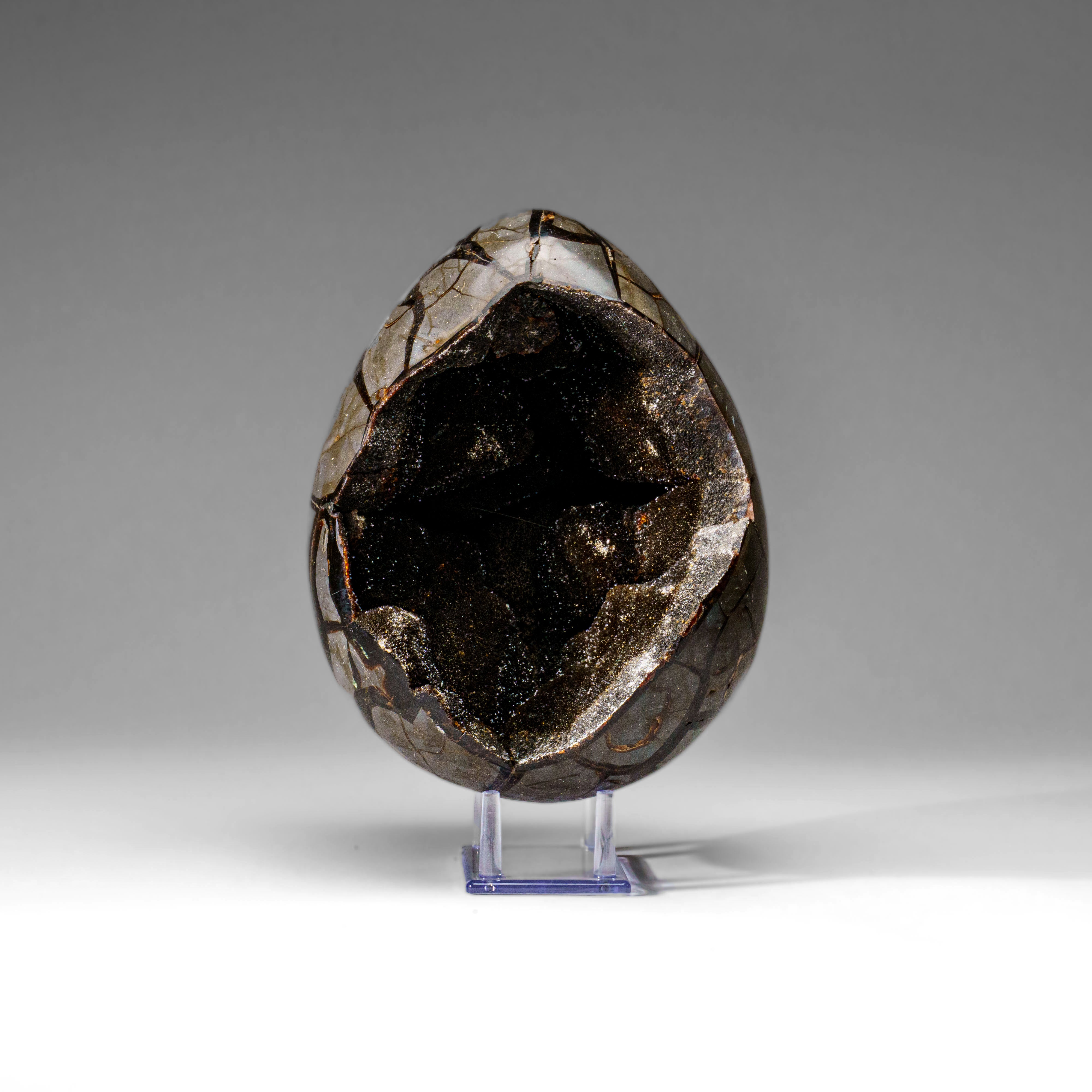 Polished Septarian Druzy Geode Egg from Madagascar (18.5 lbs)