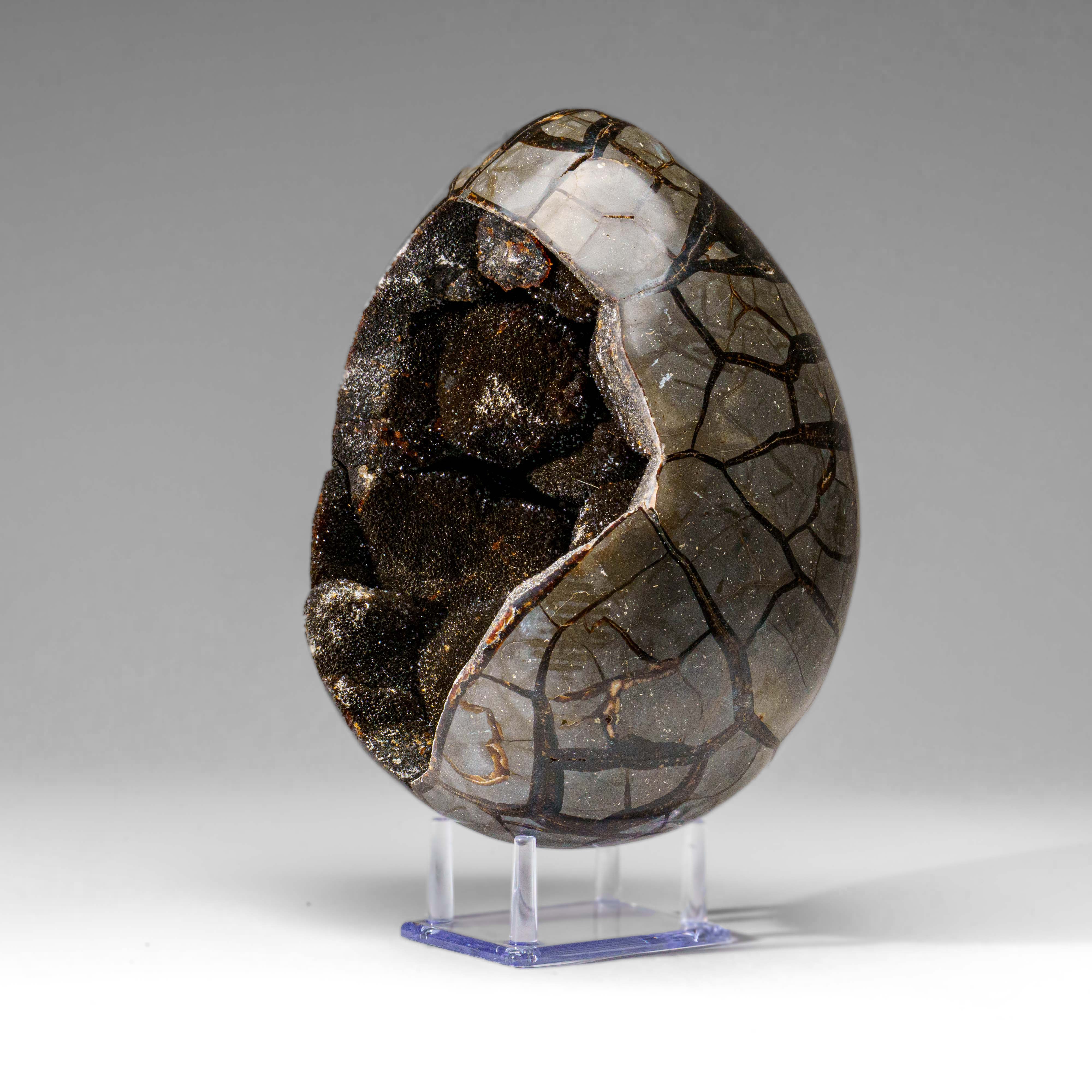 Polished Septarian Druzy Geode Egg from Madagascar (18.5 lbs)