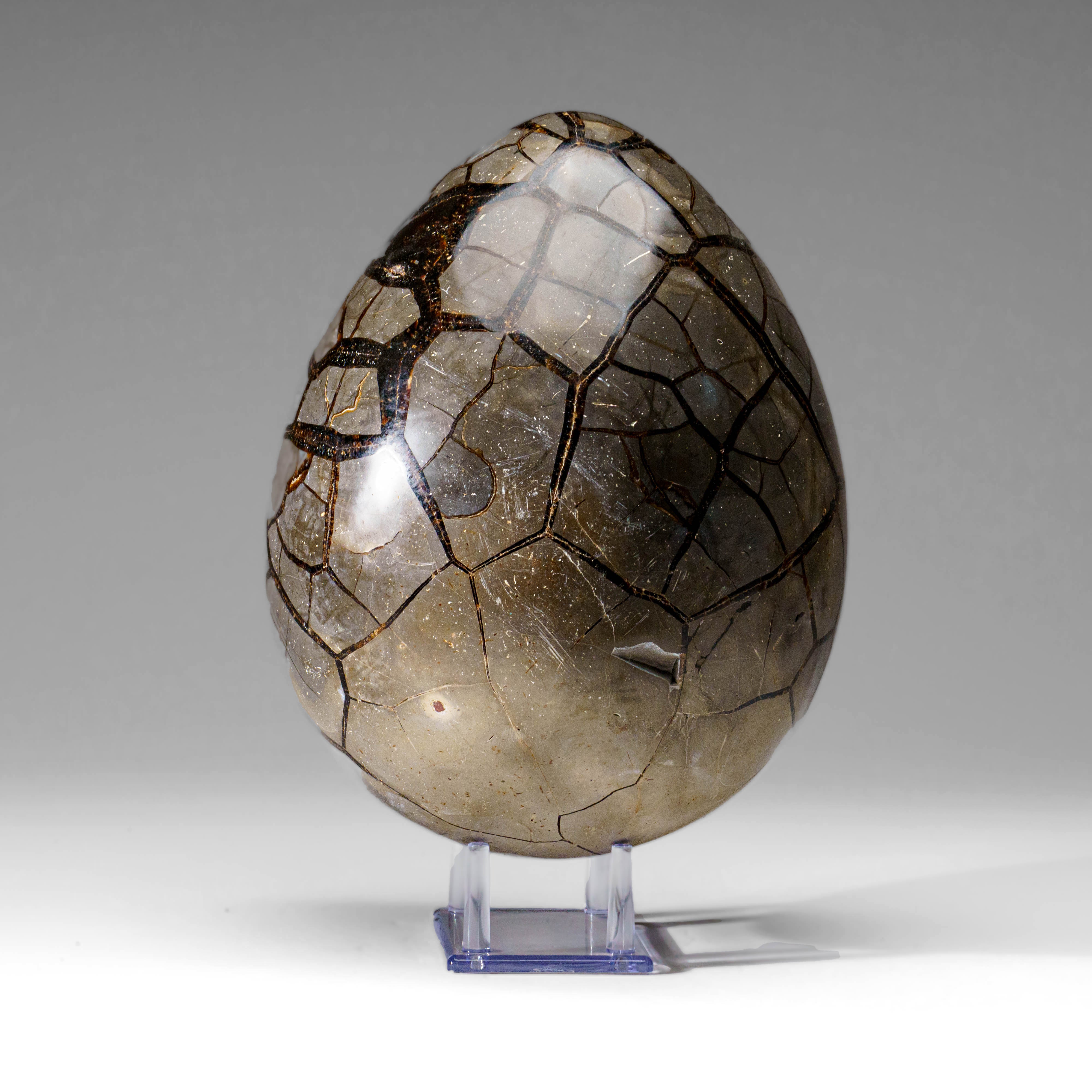 Polished Septarian Druzy Geode Egg from Madagascar (18.5 lbs)