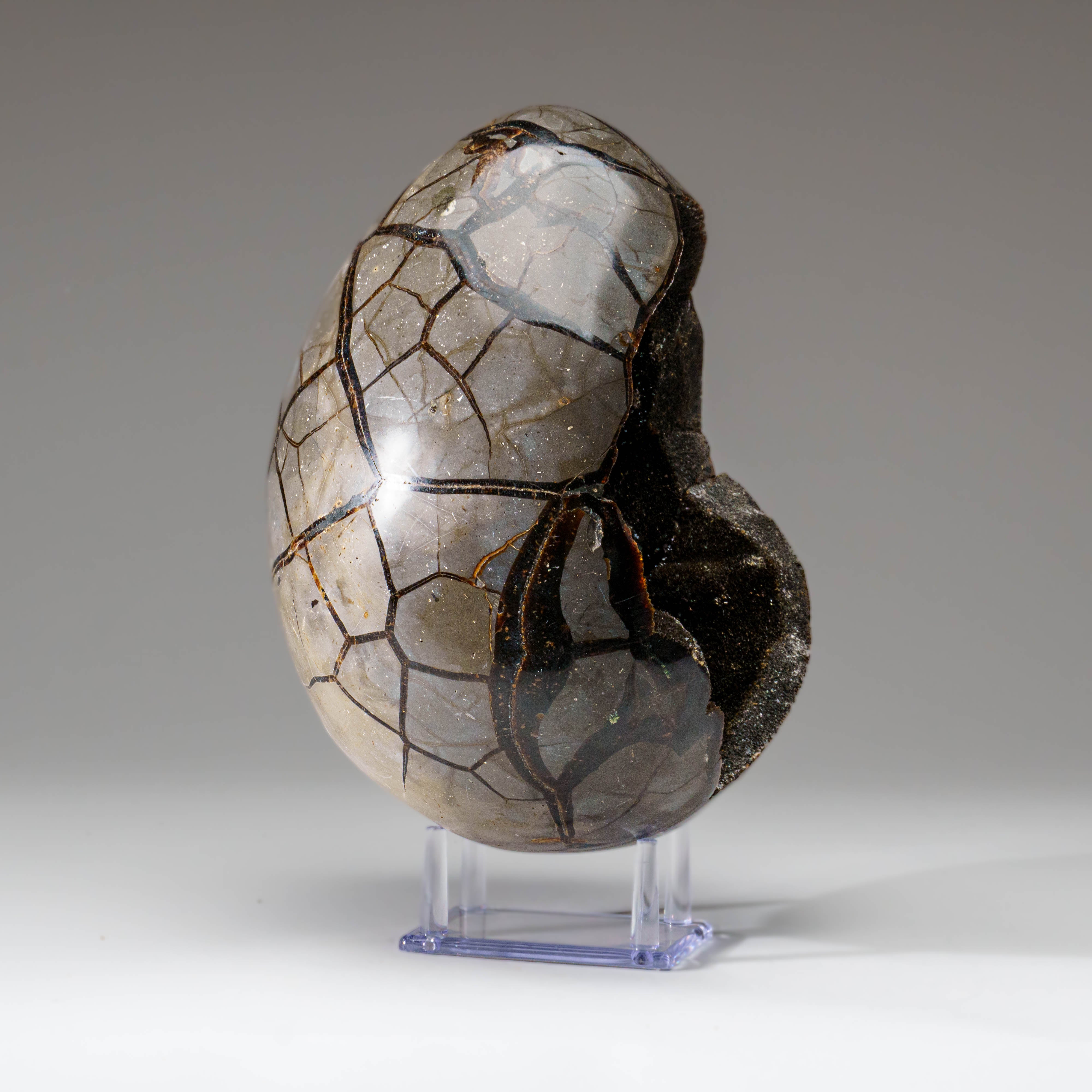 Polished Septarian Druzy Geode Egg from Madagascar (18.5 lbs)