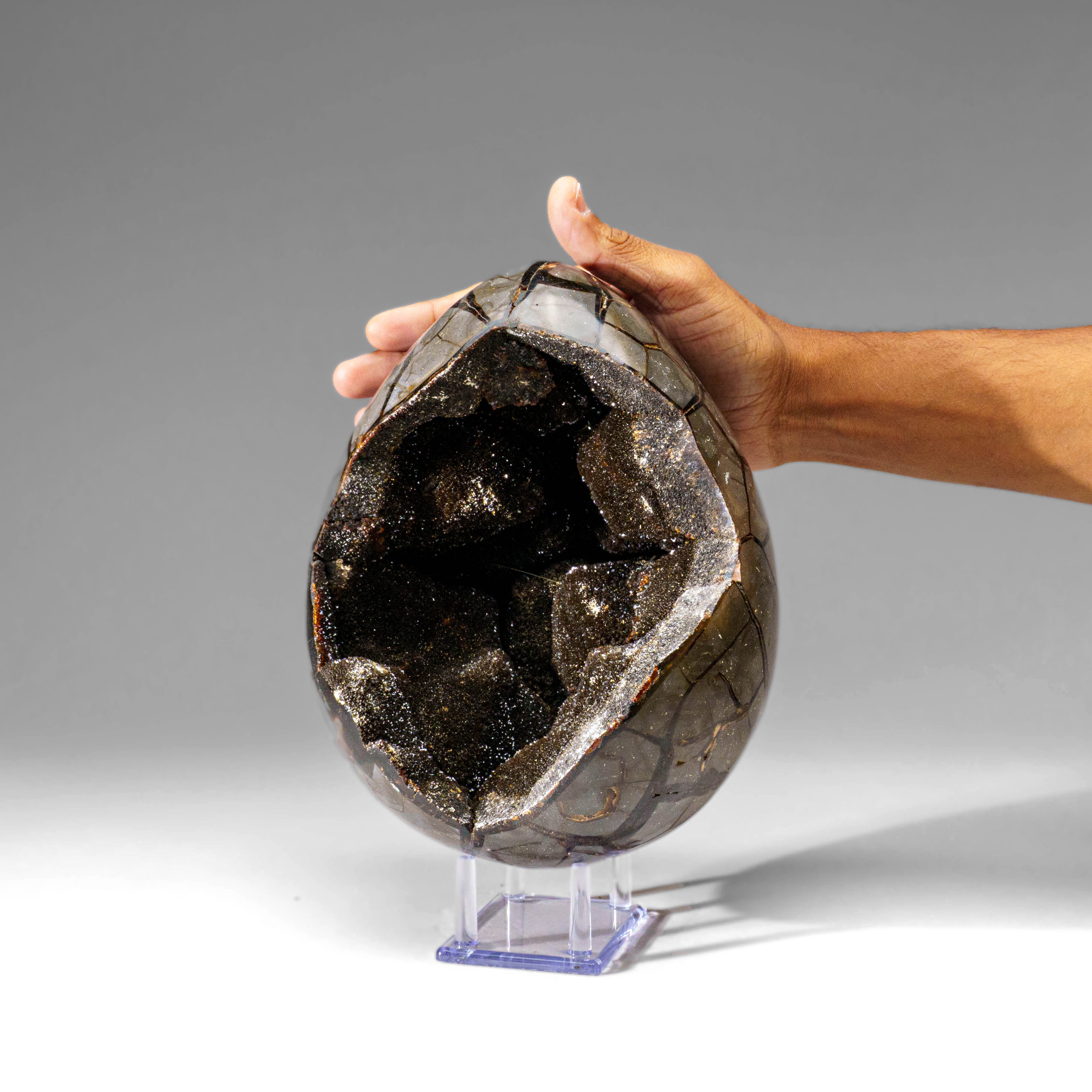 Polished Septarian Druzy Geode Egg from Madagascar (18.5 lbs)