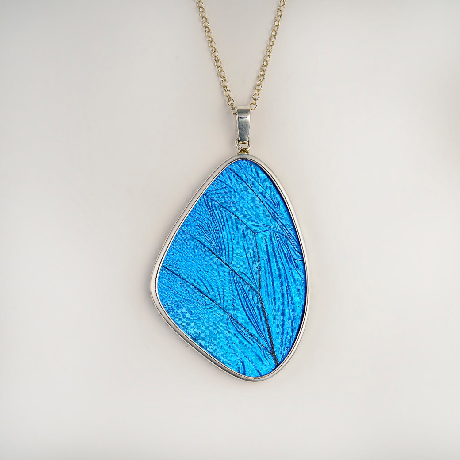 Genuine Blue Morpho Butterfly Wing Pendant with 18" Sterling Silver Necklace