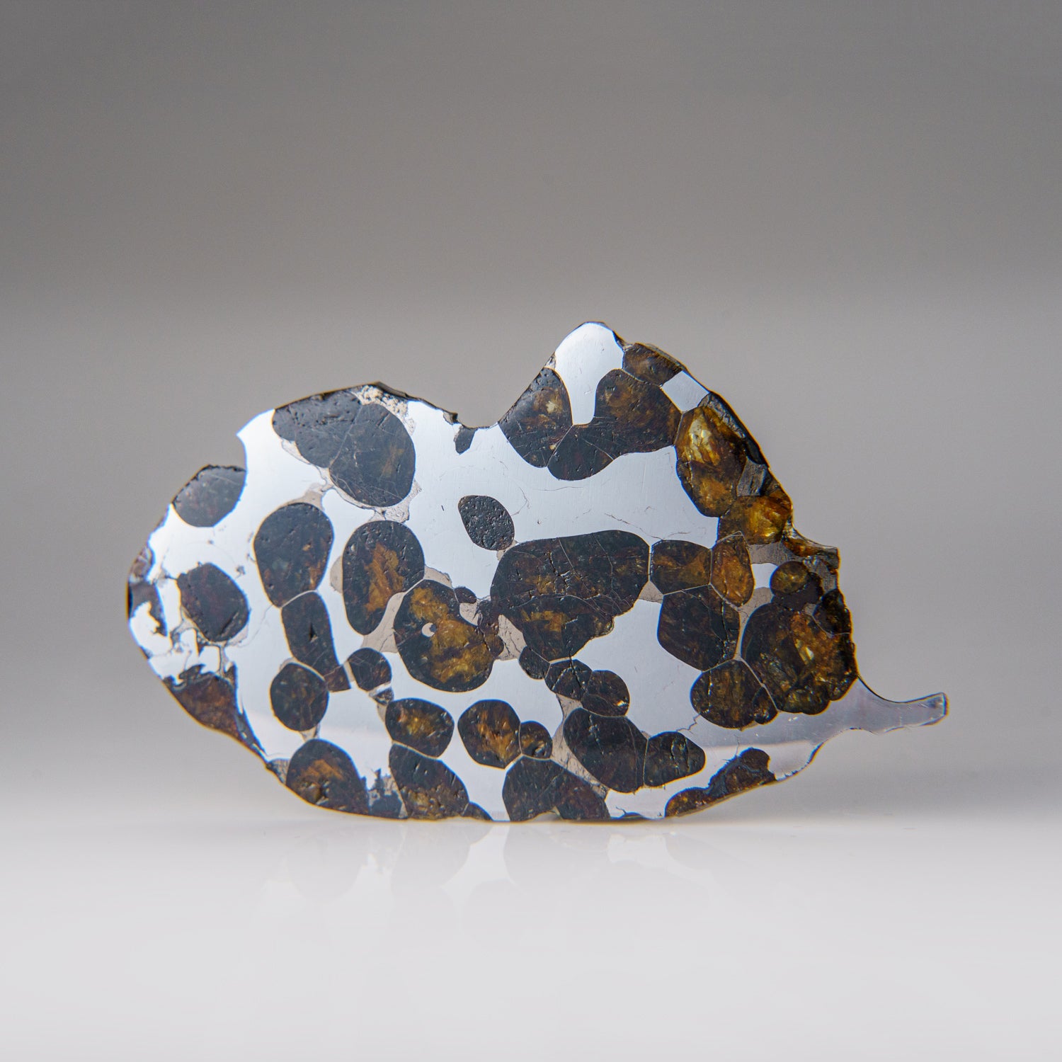 Genuine Brenhama Pallasite Meteorite Slice (16.5 grams)
