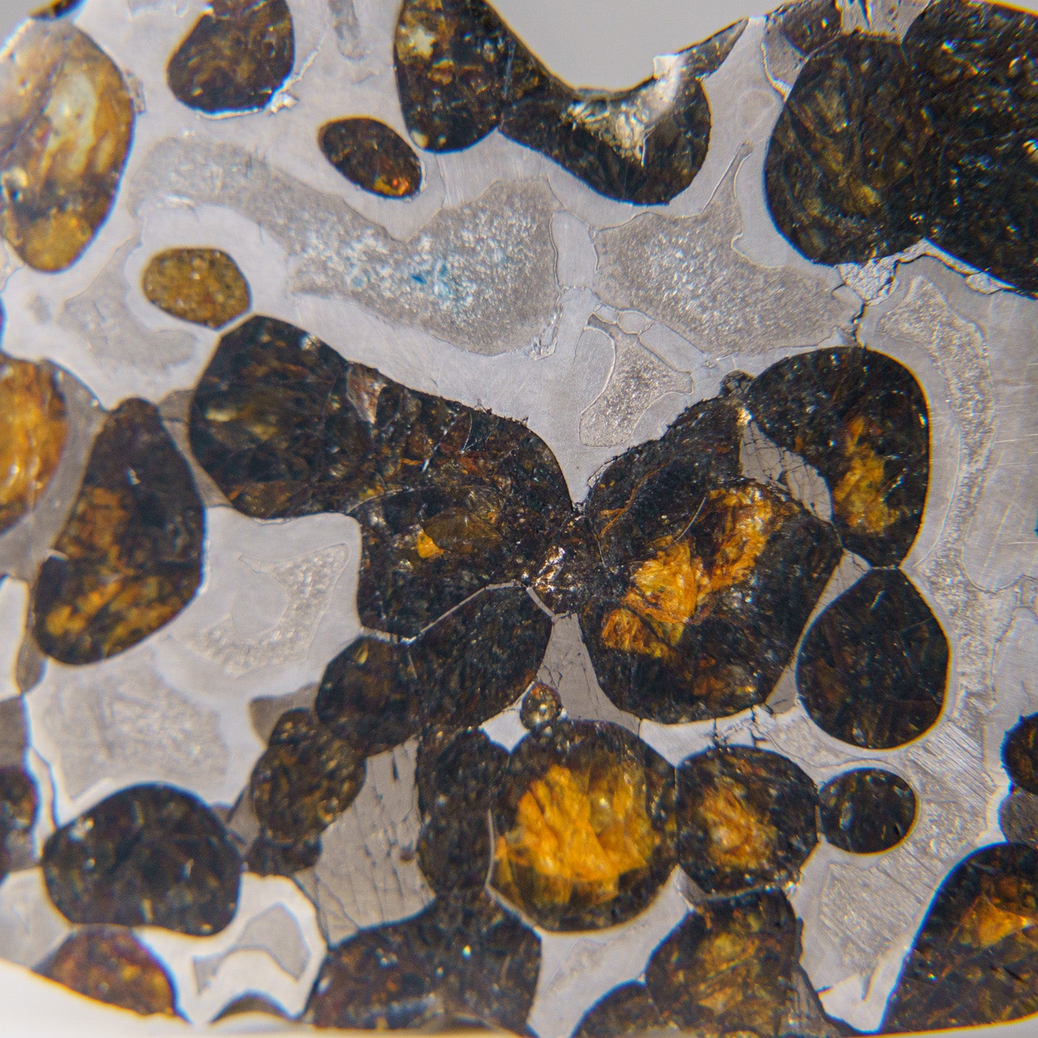 Genuine Brenhama Pallasite Meteorite Slice (16.5 grams)