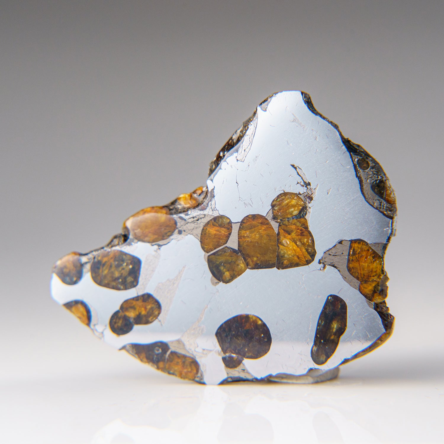Genuine Brenhama Pallasite Meteorite Slice (17 grams)