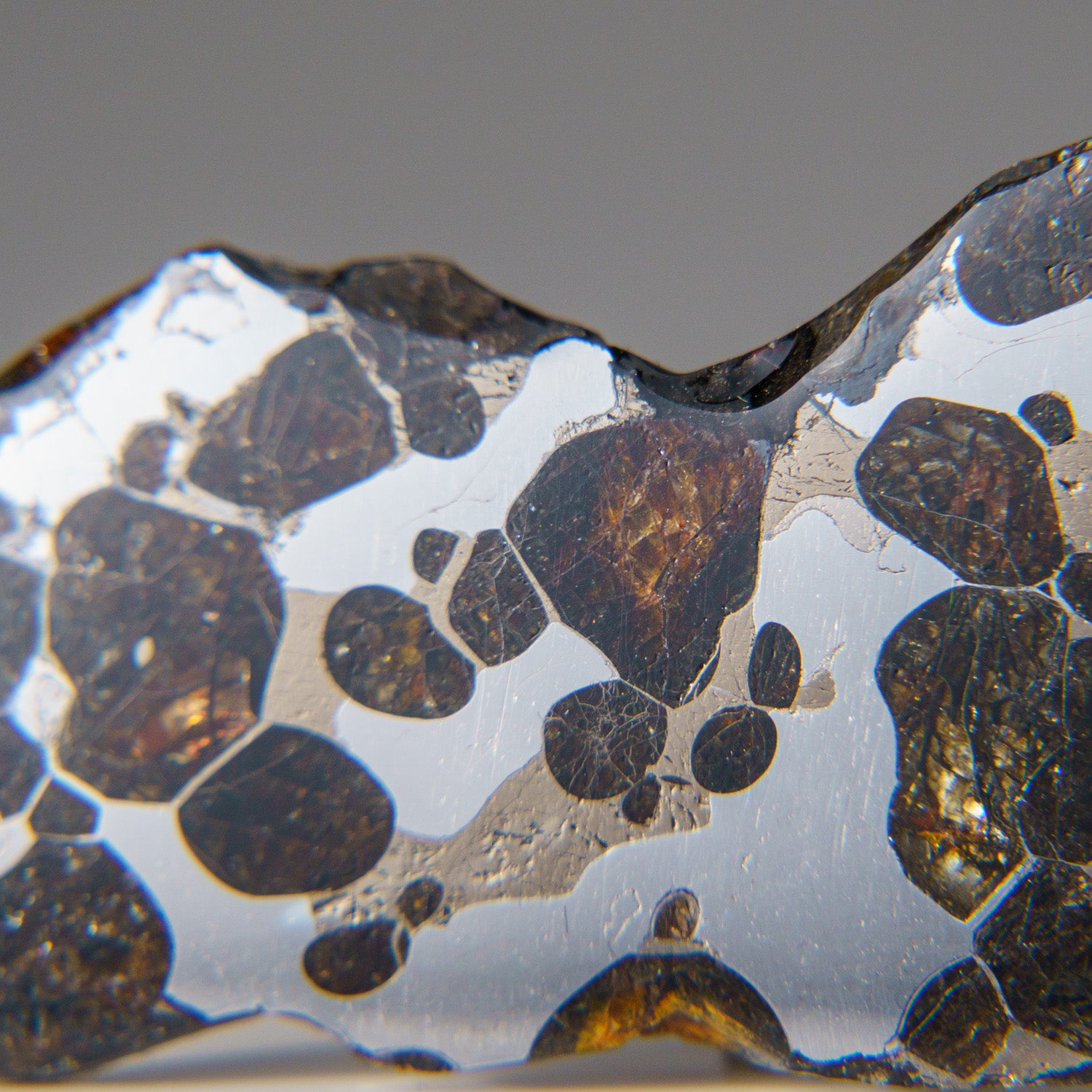 Genuine Brenhama Pallasite Meteorite Slice (23.5 grams)