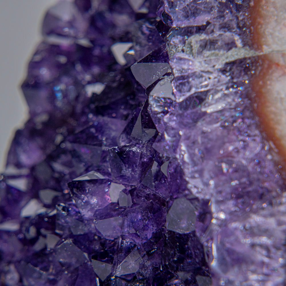 Genuine Amethyst Crystal Cluster from Brazil (1.5 lbs)