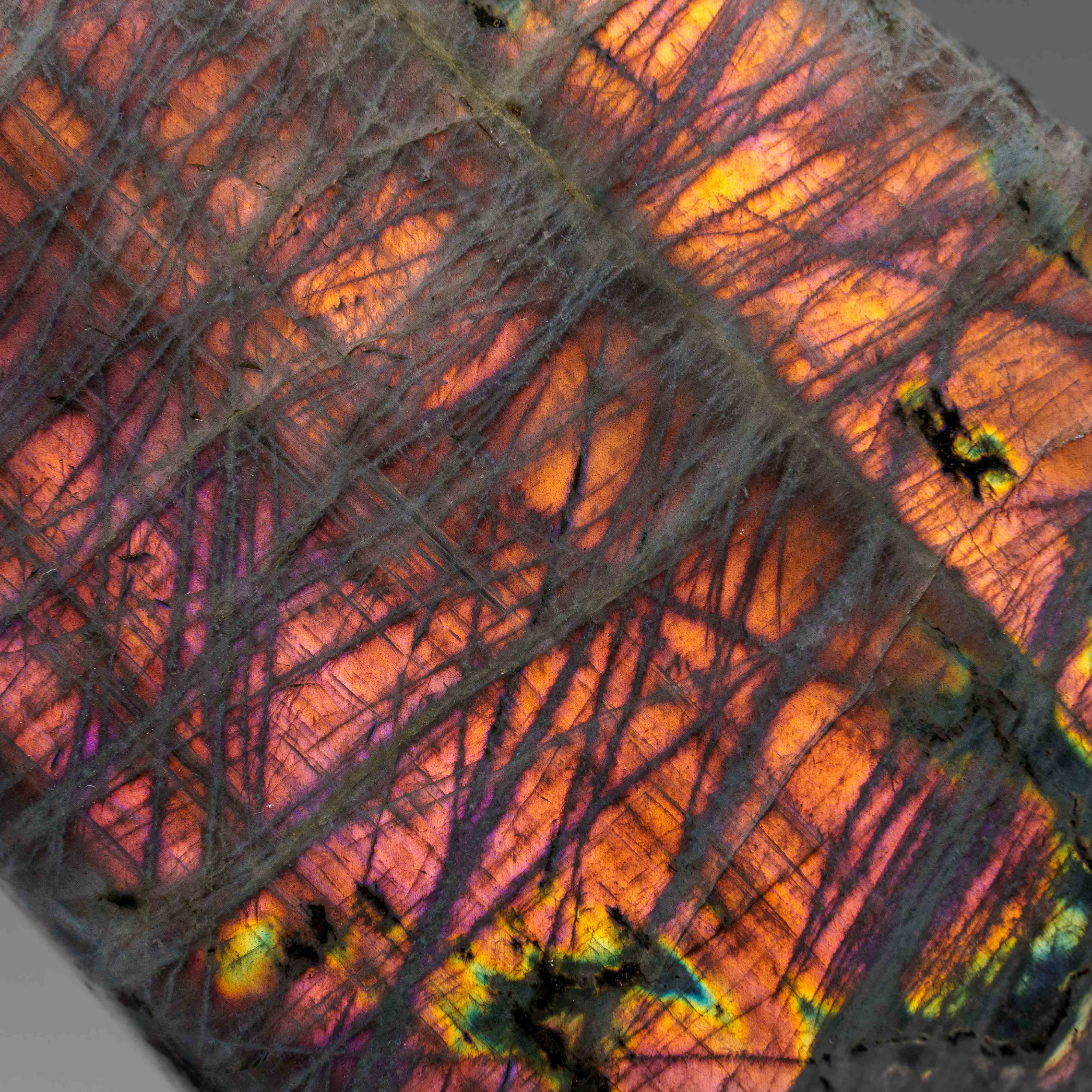 Polished Labradorite Freeform from Madagascar (3.4 lbs)