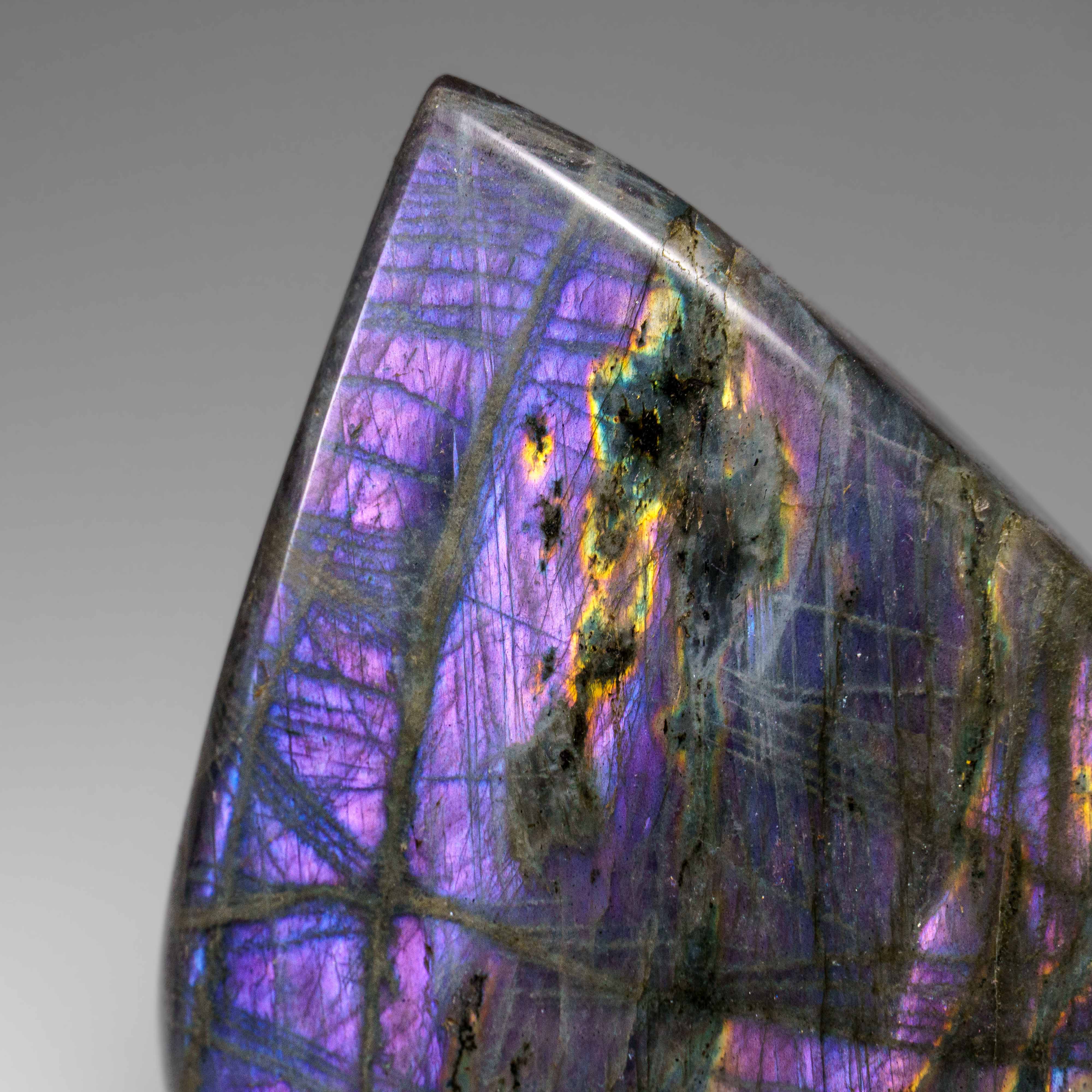 Polished Labradorite Freeform from Madagascar (3.9 lbs)