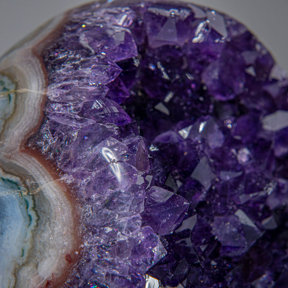 Genuine Amethyst Crystal Cluster from Brazil (1.2 lbs)