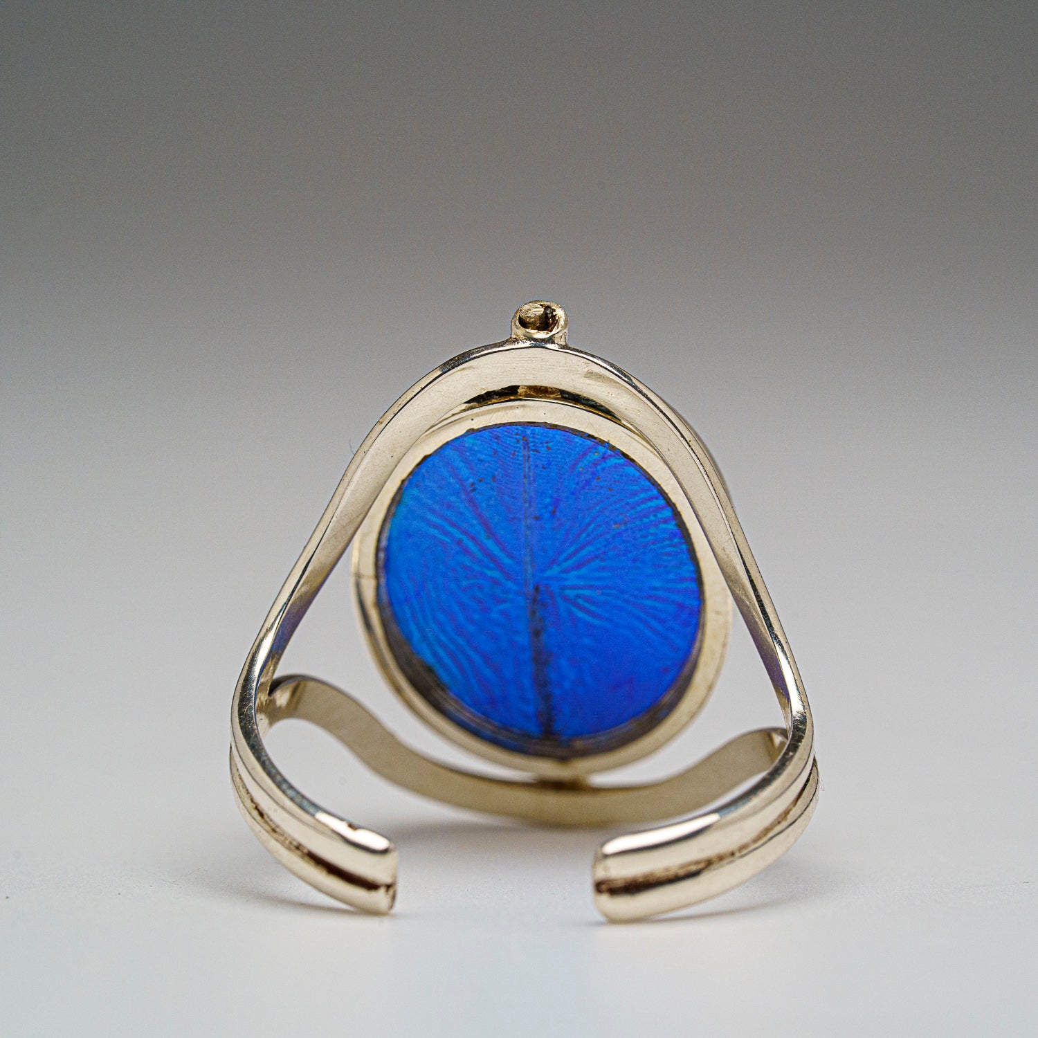 Genuine Blue Morpho and Madagascan Sunset Wing in Sterling Silver Ring (changeable face)