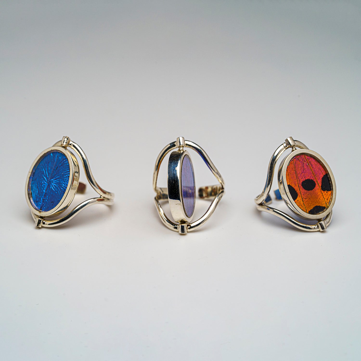 Genuine Blue Morpho and Madagascan Sunset Wing in Sterling Silver Ring (changeable face)