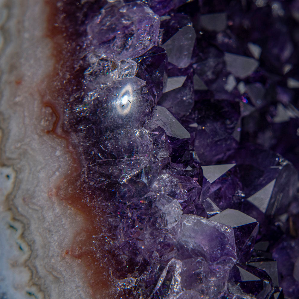 Genuine Amethyst Crystal Cluster from Brazil (1 lb)