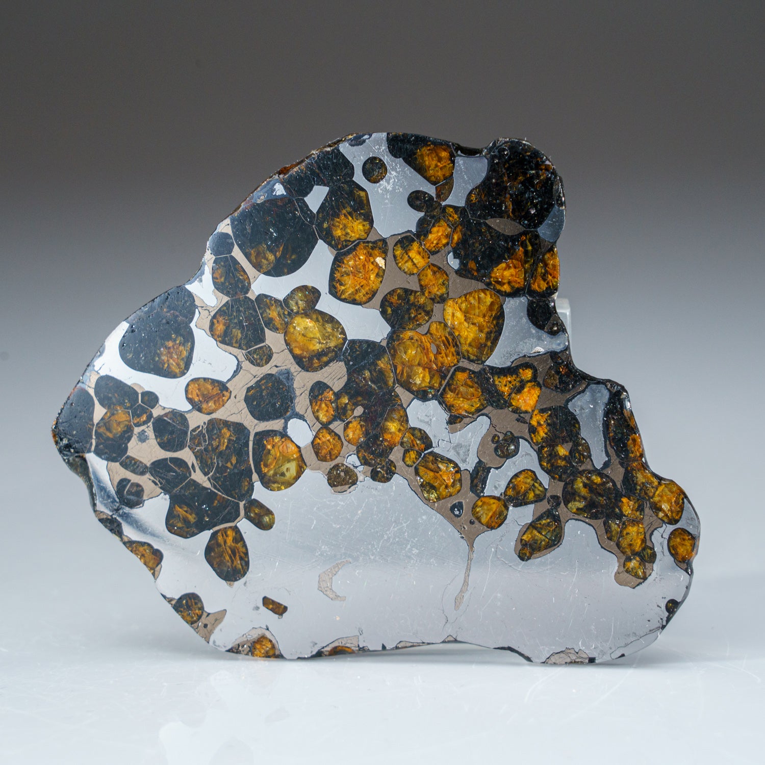 Genuine Brenhama Pallasite Meteorite Slice (56 grams)