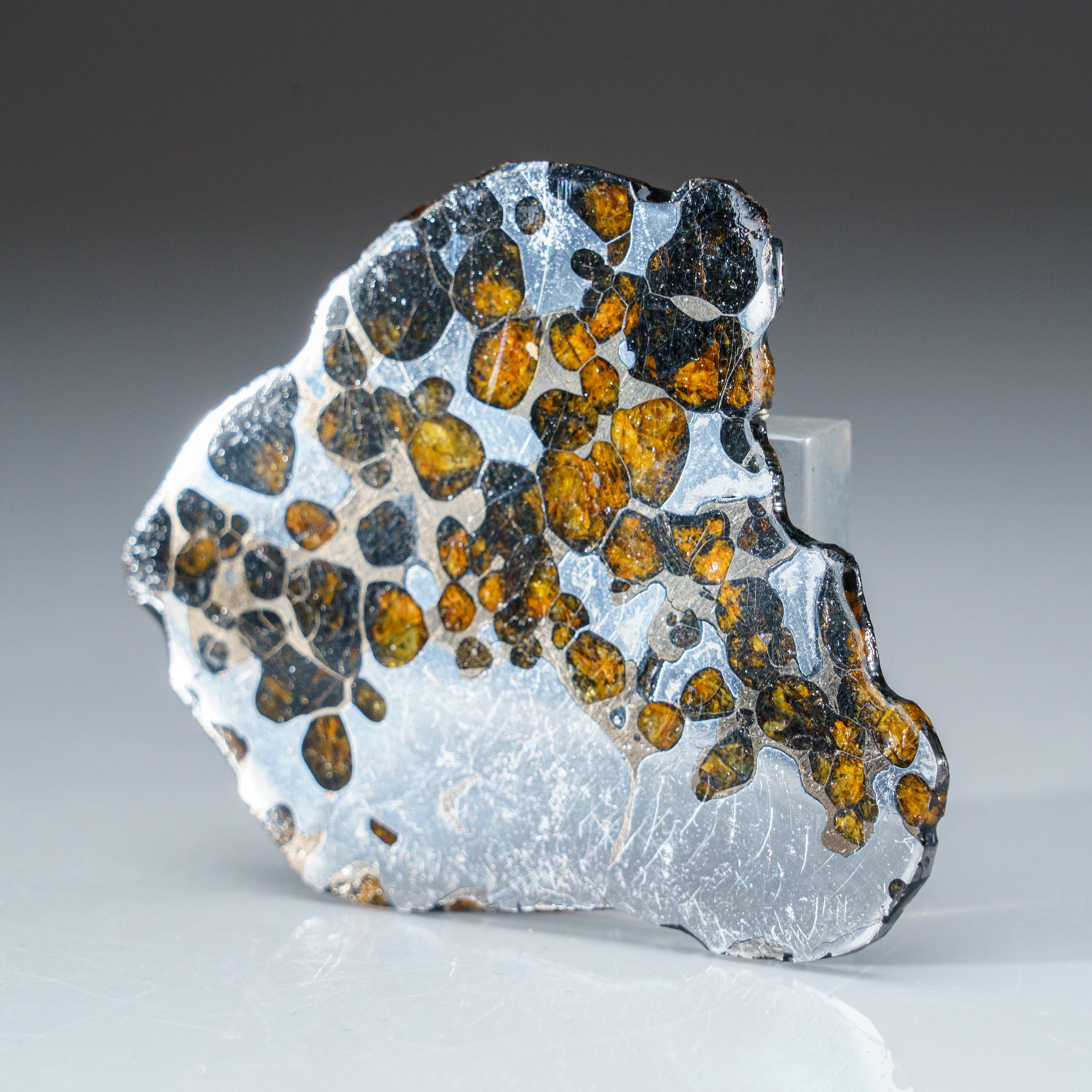 Genuine Brenhama Pallasite Meteorite Slice (56 grams)