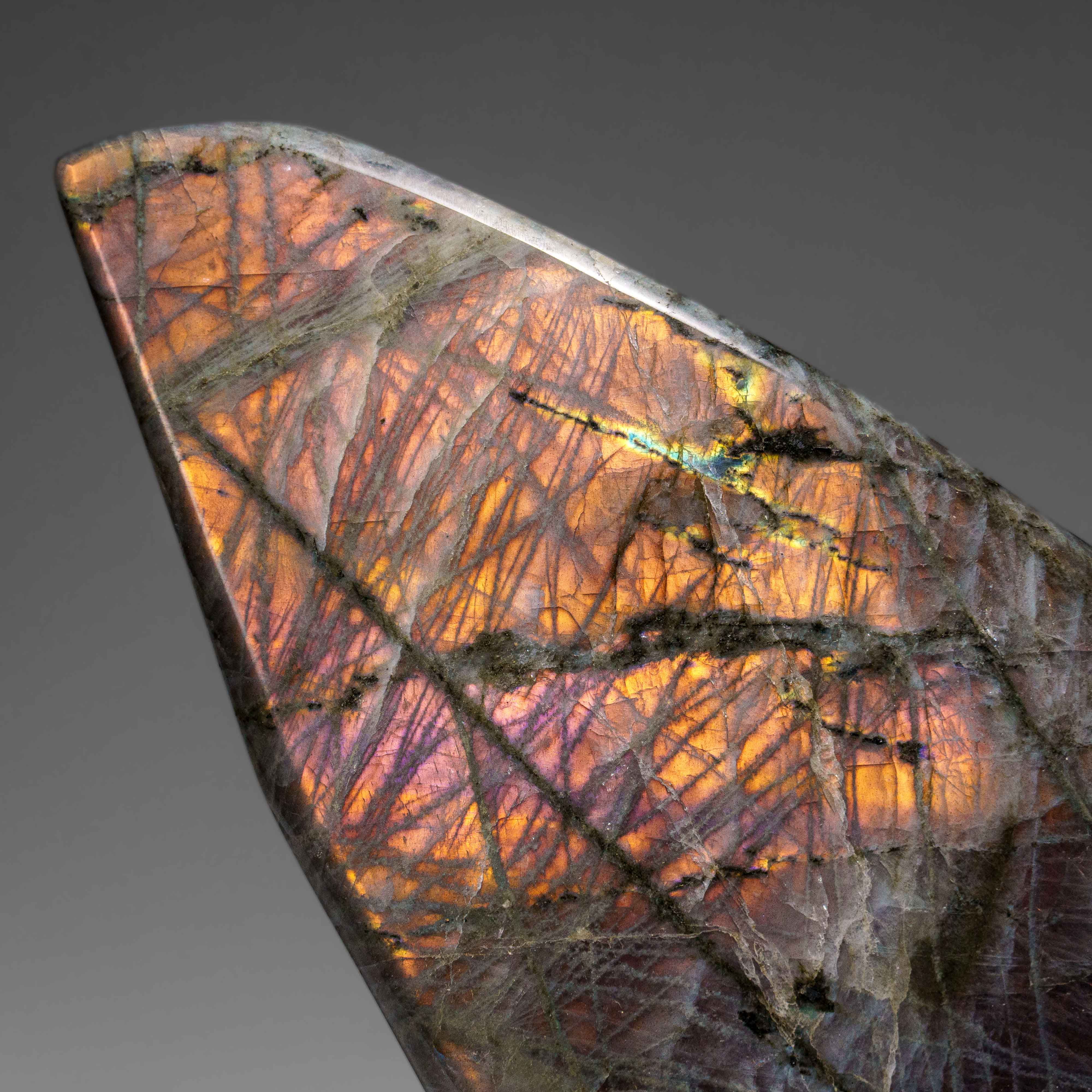 Polished Labradorite Freeform from Madagascar (4.1 lbs)