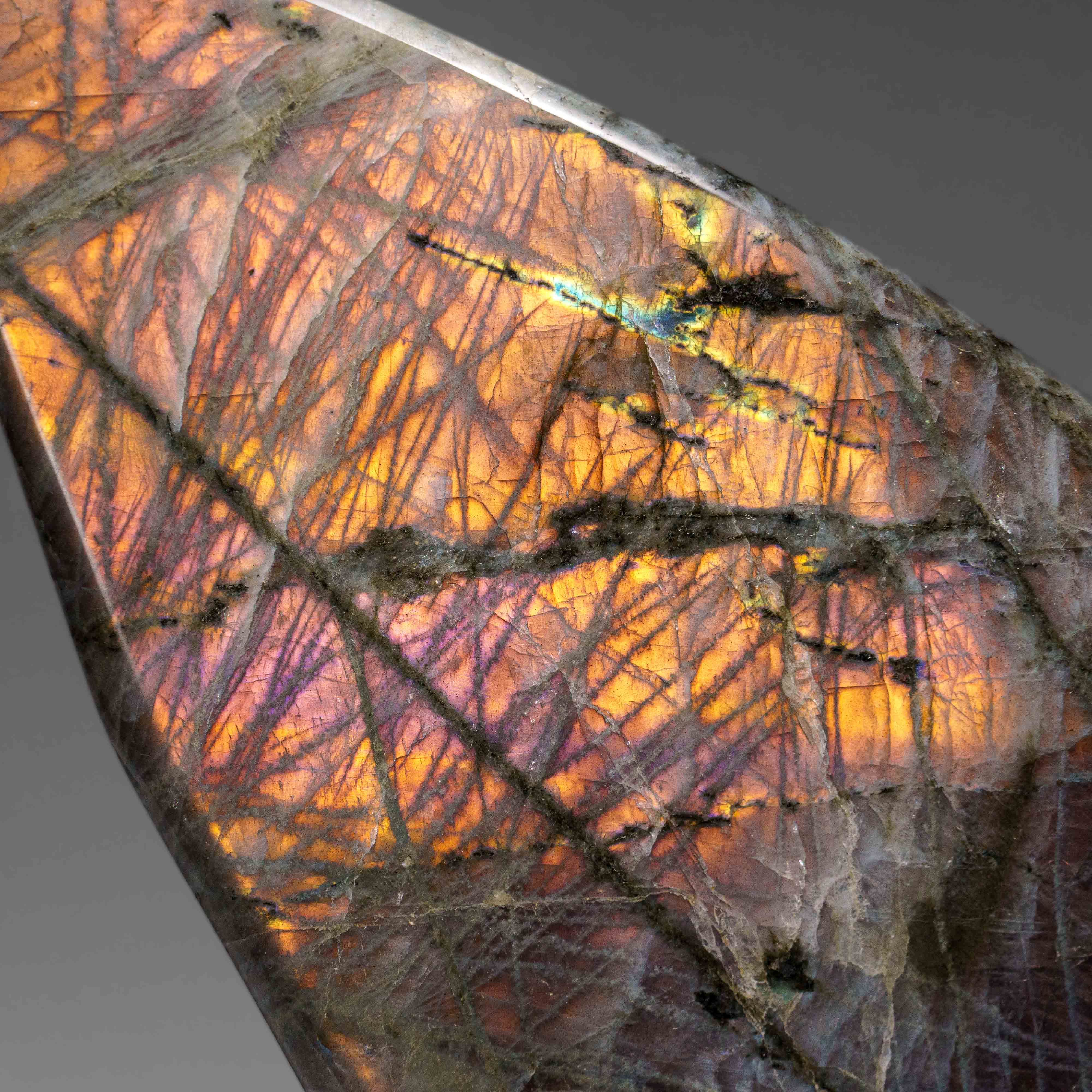 Polished Labradorite Freeform from Madagascar (4.1 lbs)