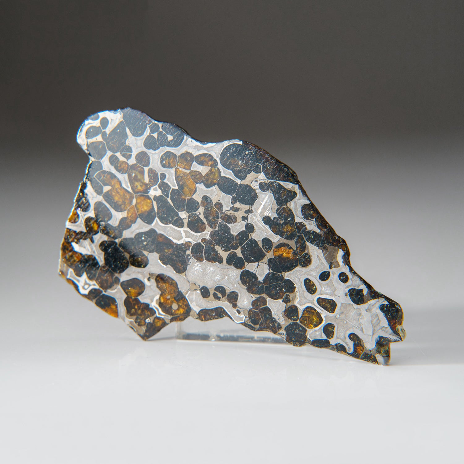 Genuine Brenhama Pallasite Meteorite Slice (86 grams)