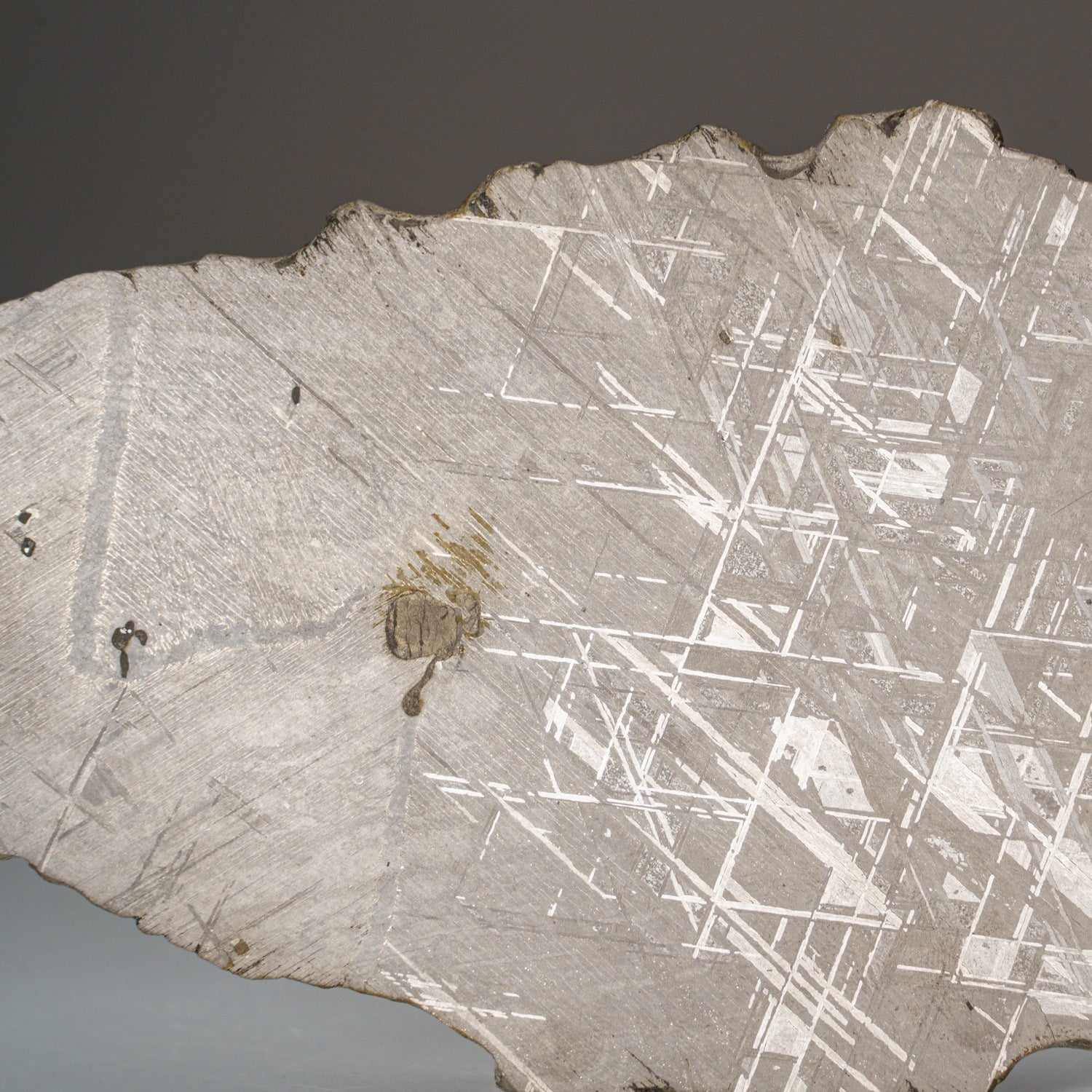Genuine Muonionalusta Meteorite Slice (329 grams)
