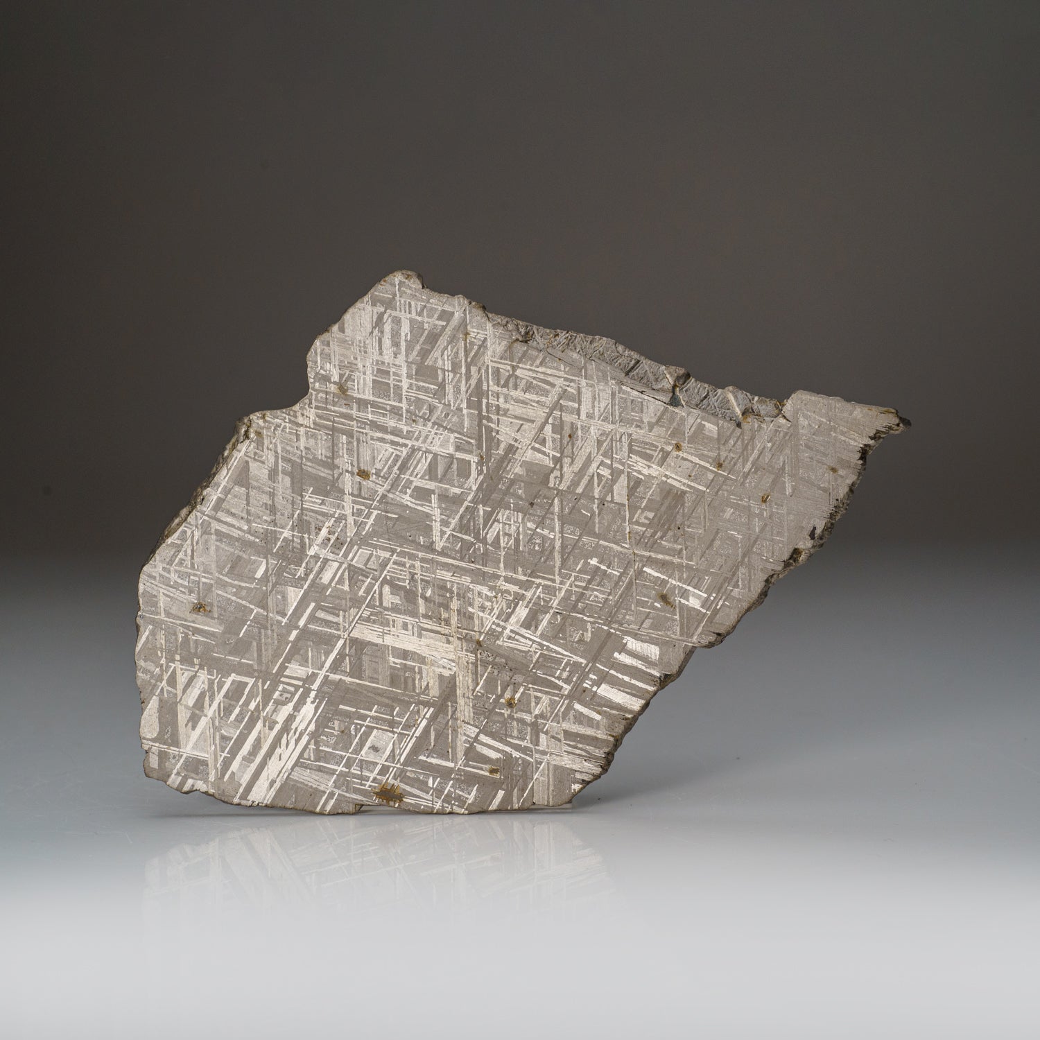 Genuine Muonionalusta Meteorite Slice (332 grams)