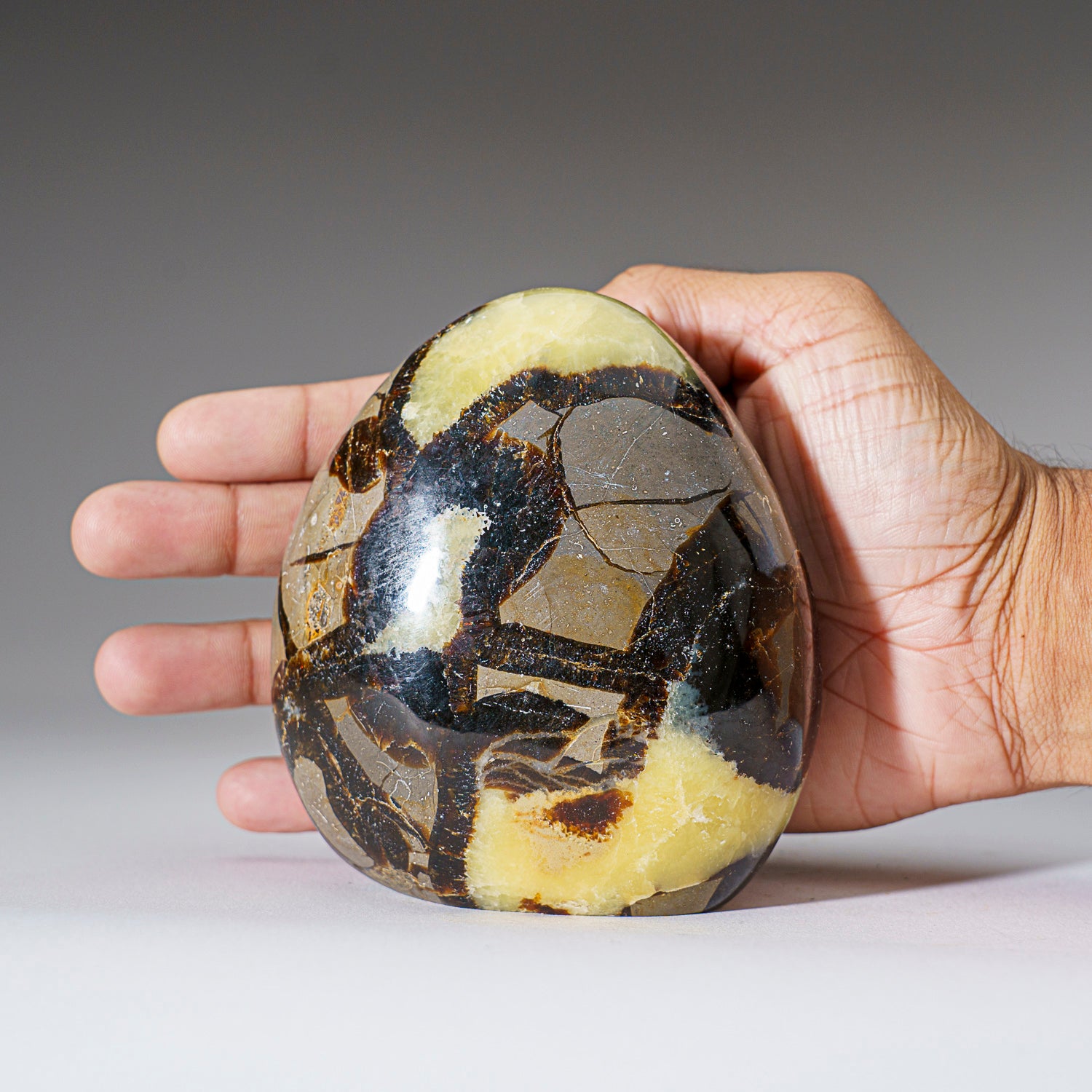 Polished Septarian Freeform from Madagascar (1.9 lbs)