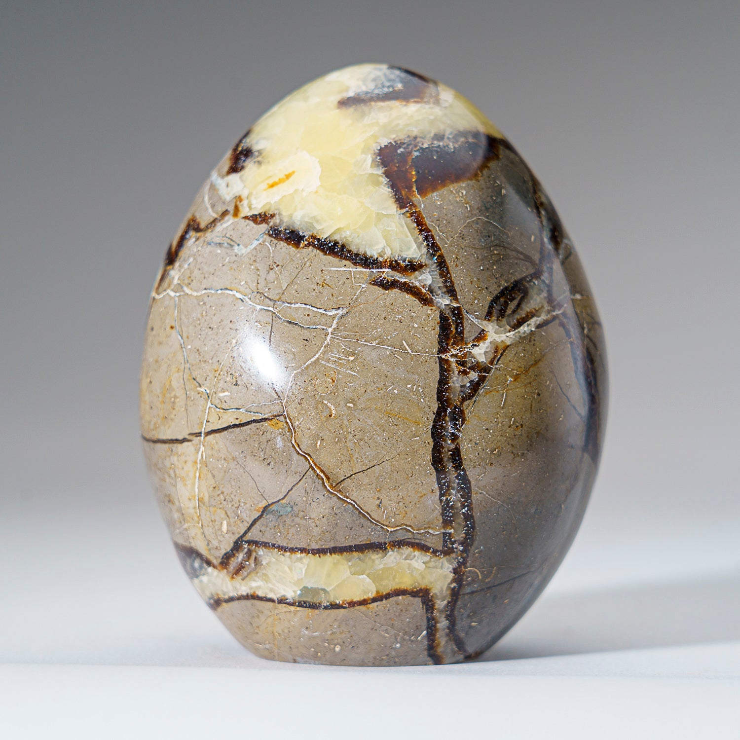 Polished Septarian Freeform from Madagascar (1.4 lbs)