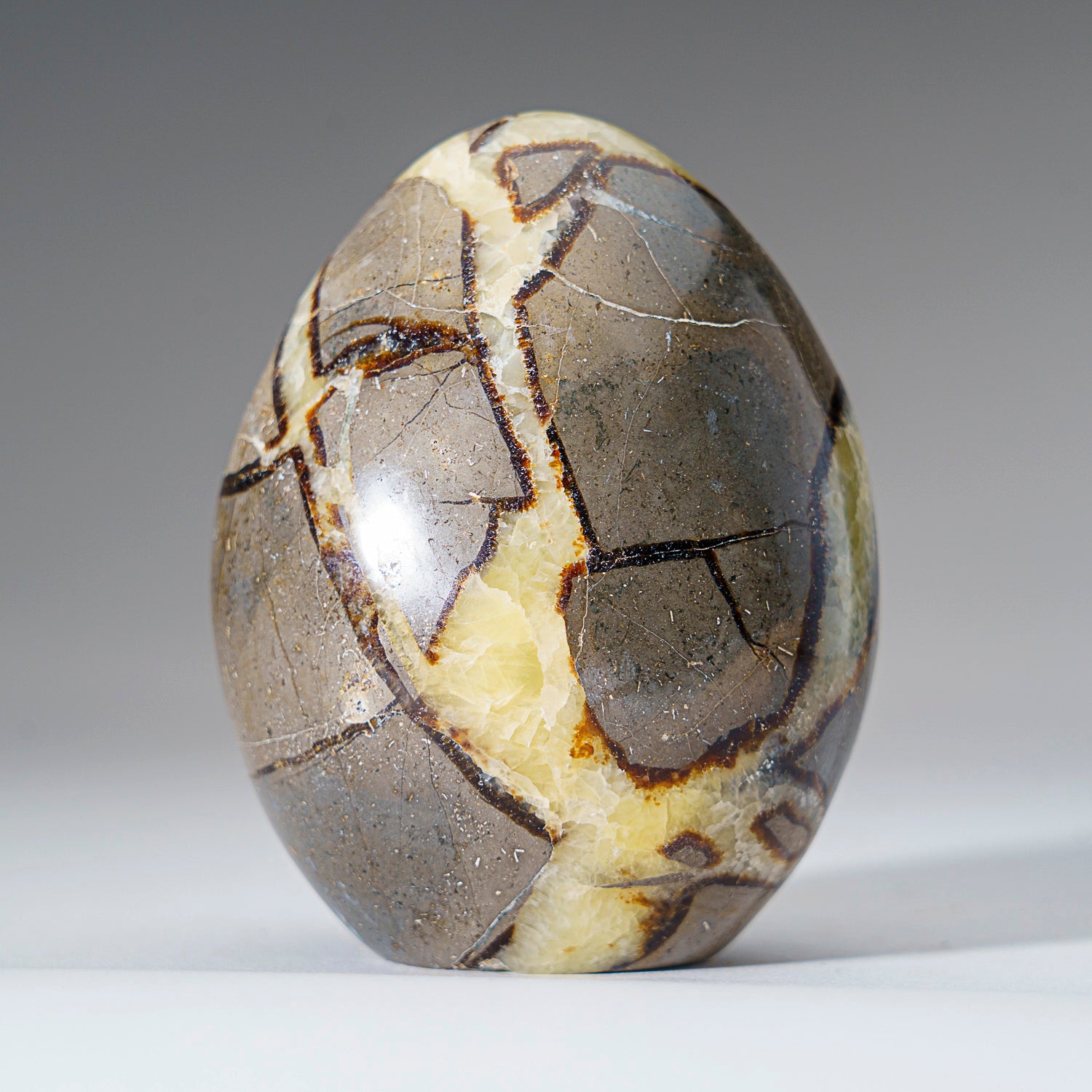 Polished Septarian Freeform from Madagascar (1.4 lbs)