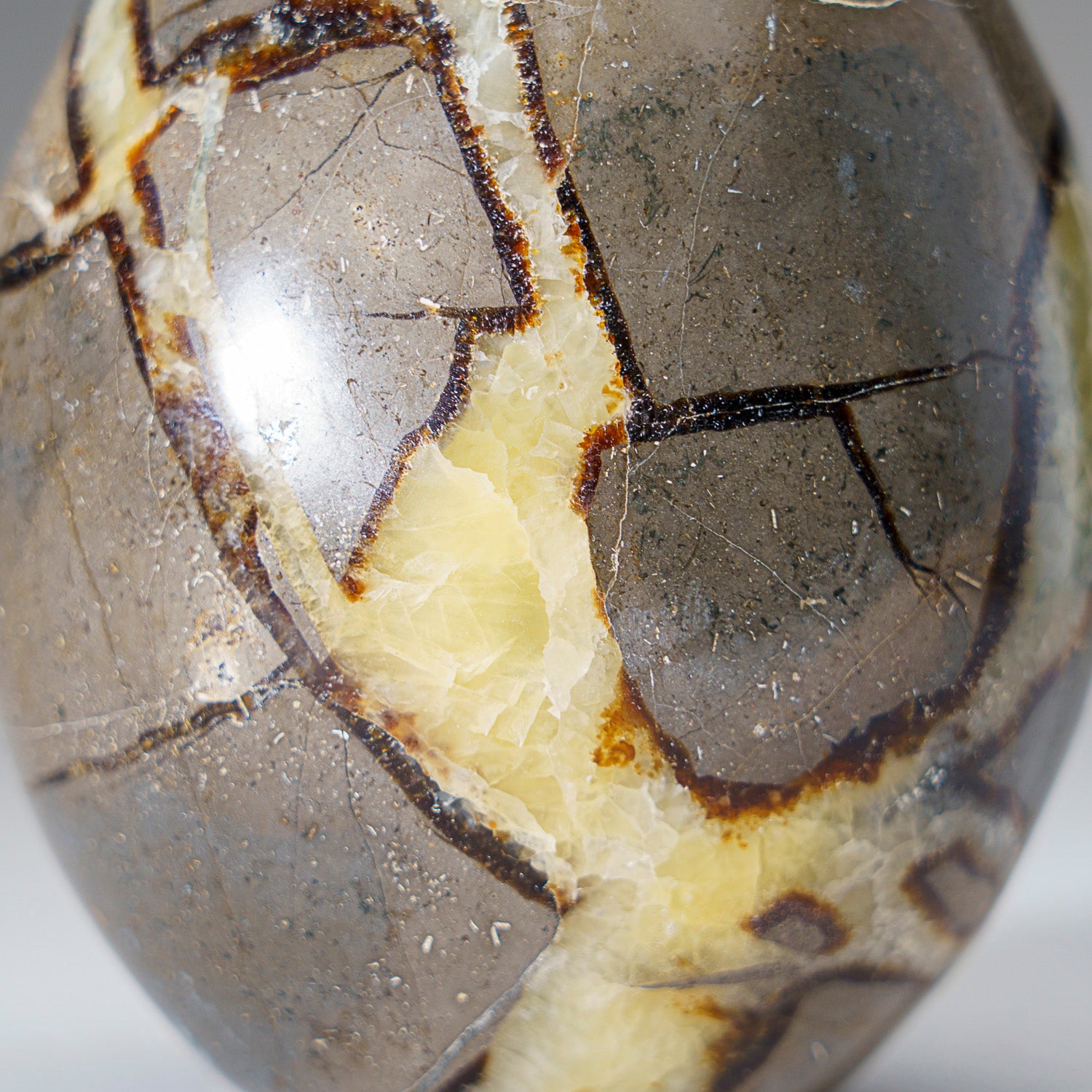 Polished Septarian Freeform from Madagascar (1.4 lbs)