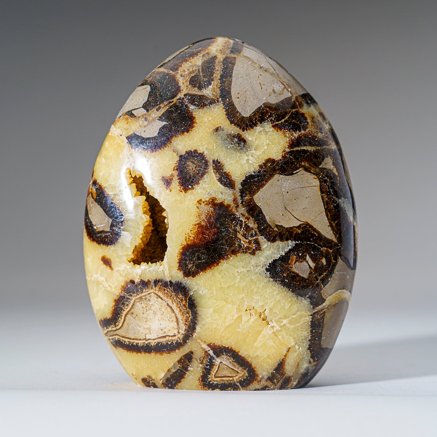 Polished Septarian Freeform from Madagascar (1.6 lbs)