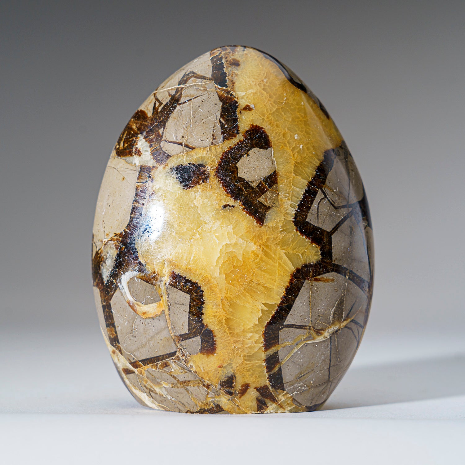 Polished Septarian Freeform from Madagascar (1.6 lbs)