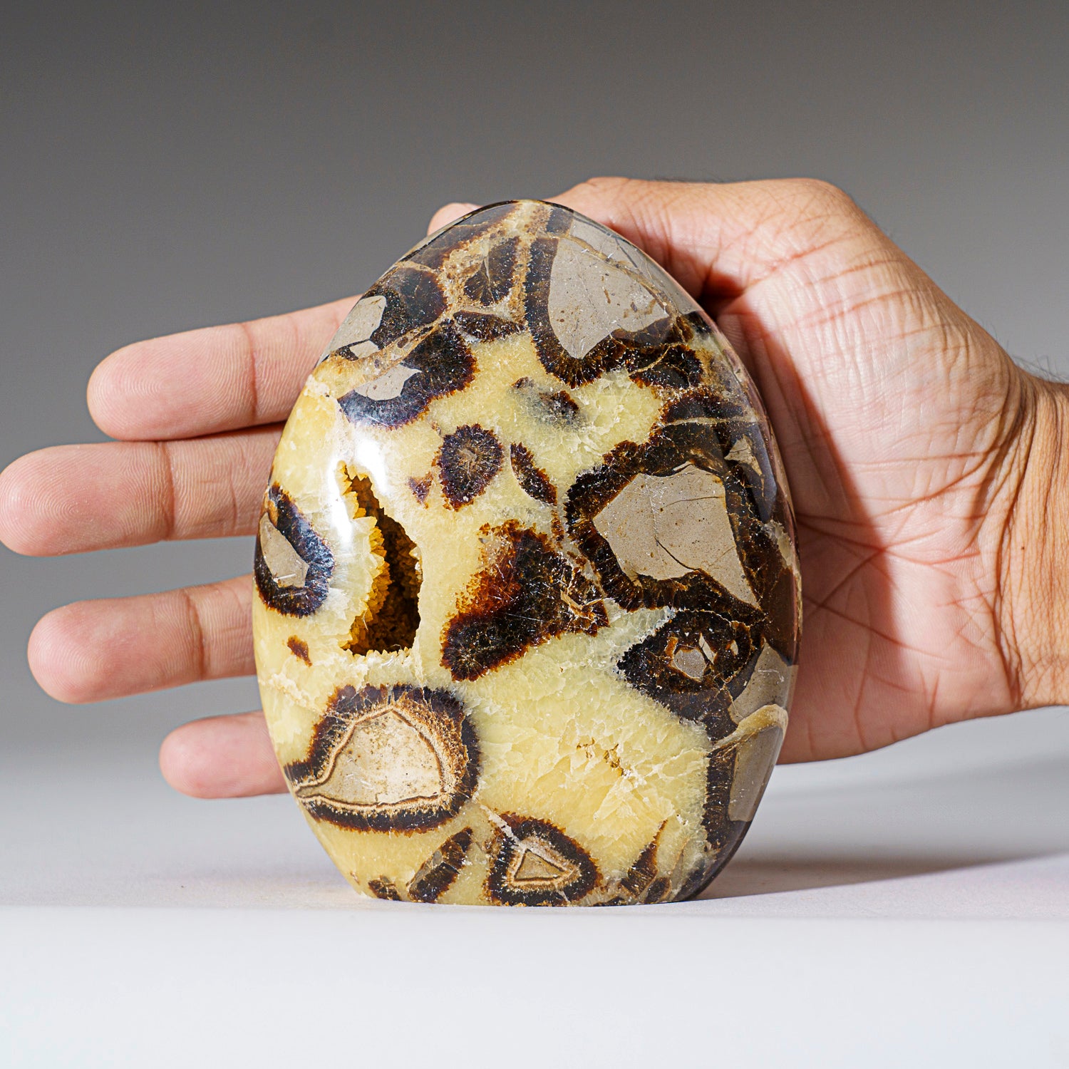 Polished Septarian Freeform from Madagascar (1.6 lbs)