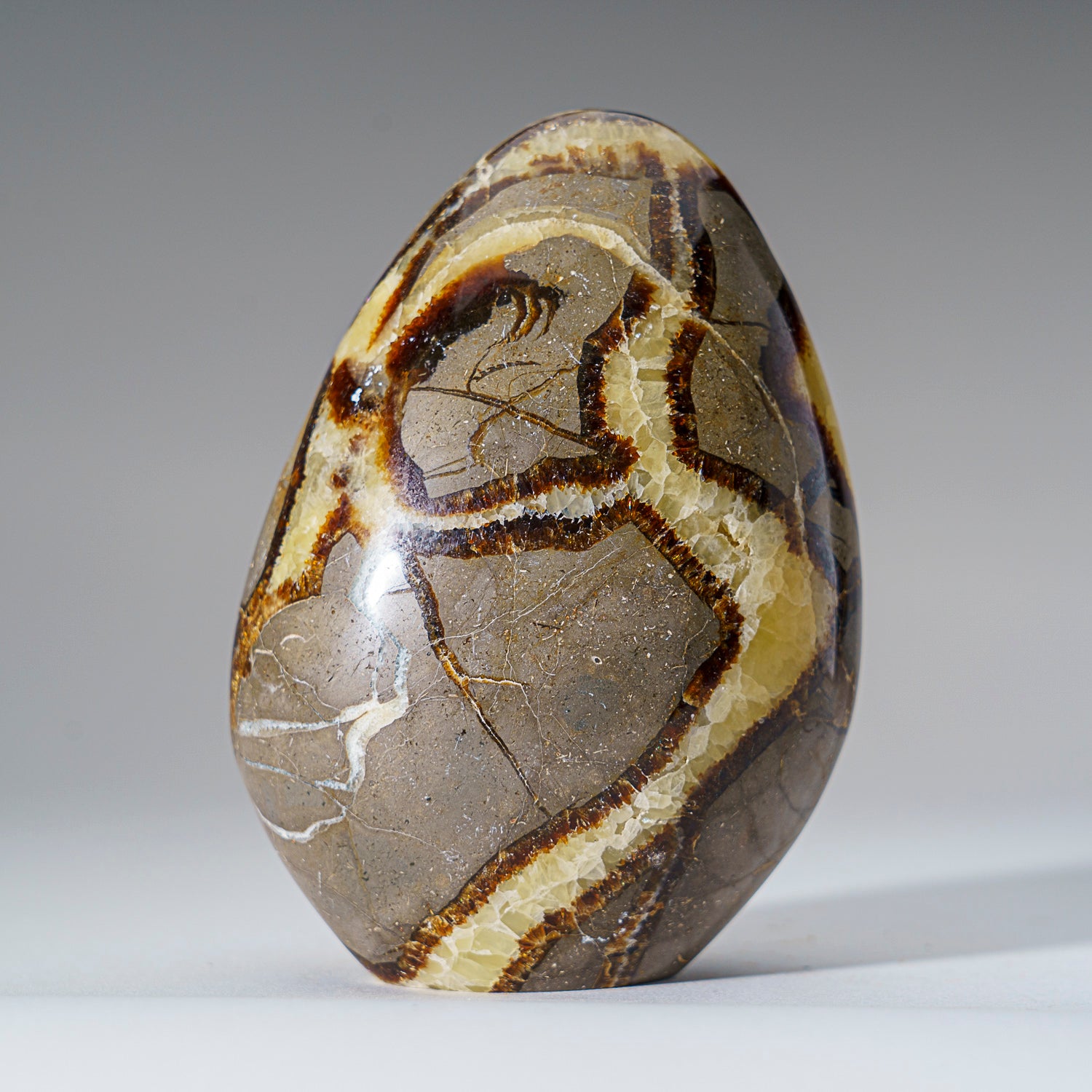 Polished Septarian Freeform from Madagascar (1.8 lbs)