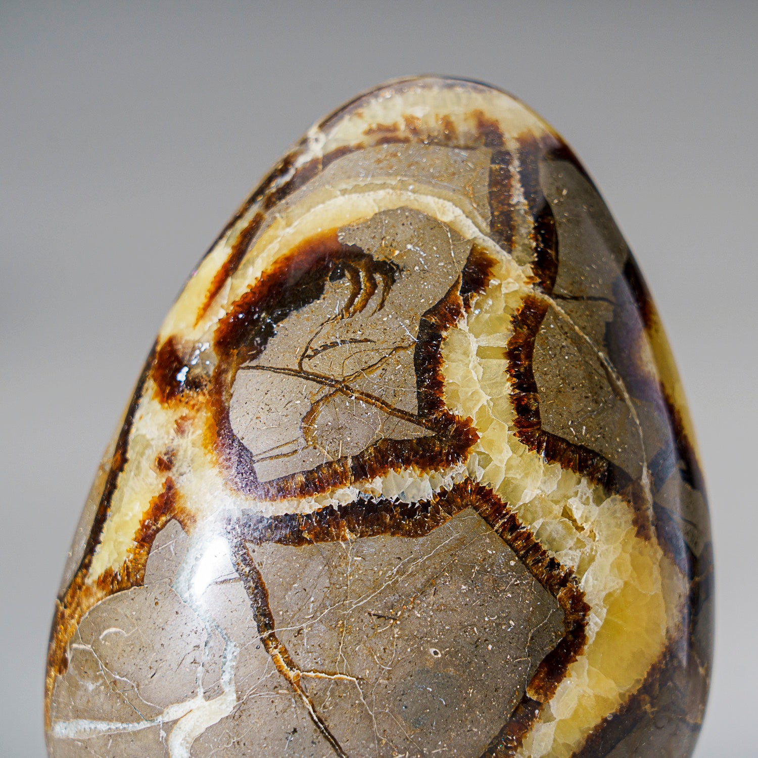 Polished Septarian Freeform from Madagascar (1.8 lbs)