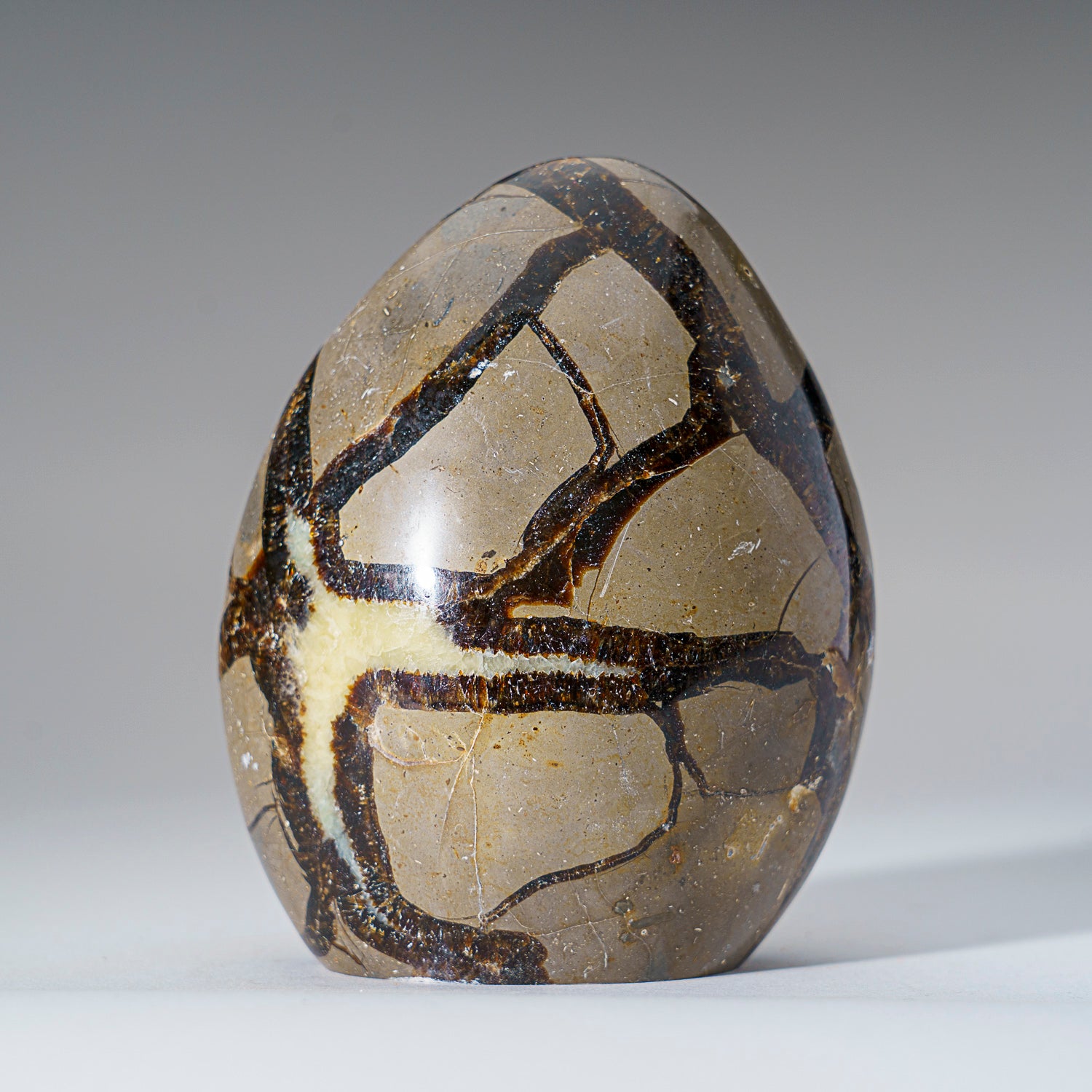 Polished Septarian Freeform from Madagascar (2 lbs)